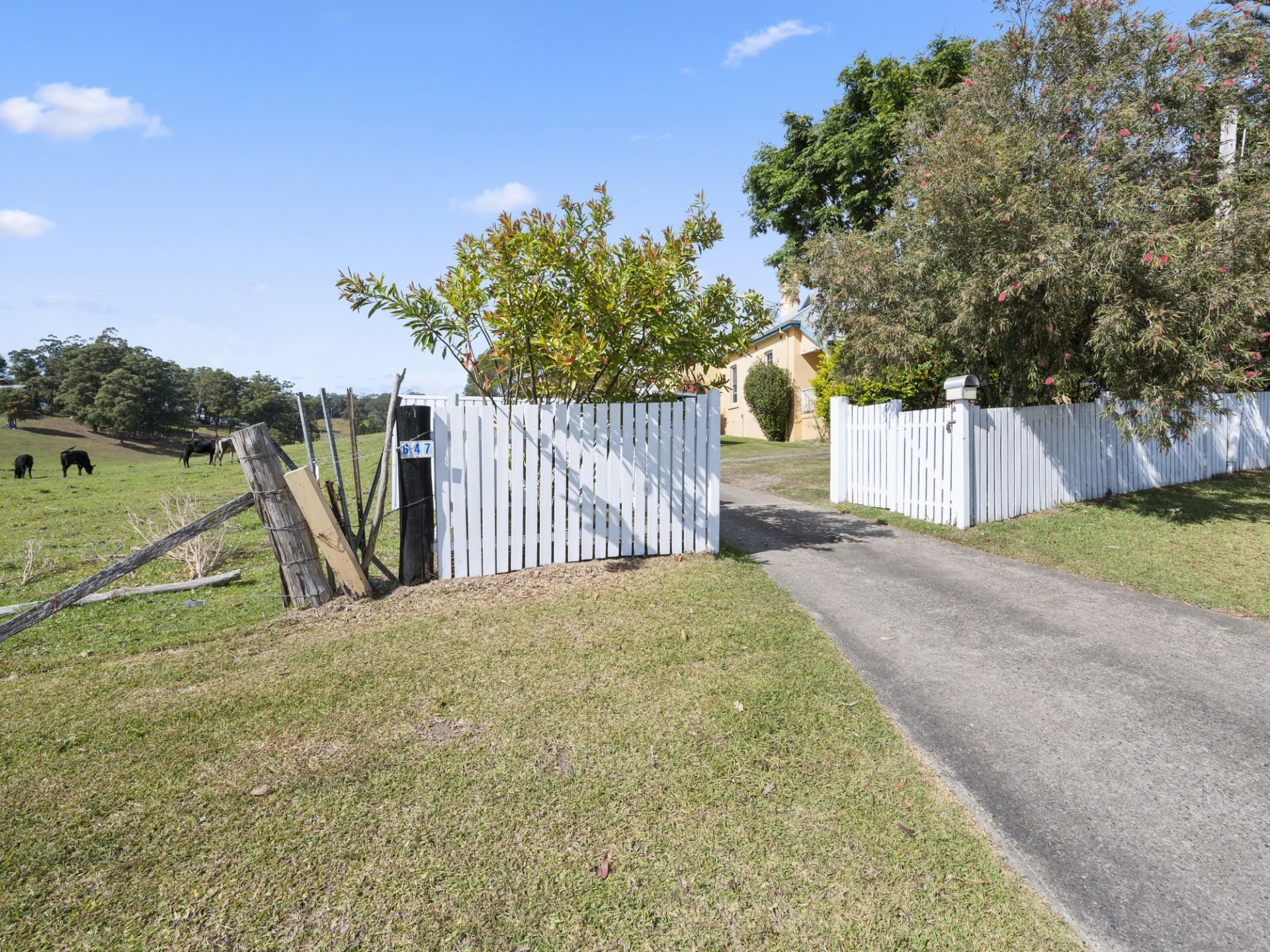 Real Estate For Sale 647 Waterfall Way Bellingen , NSW