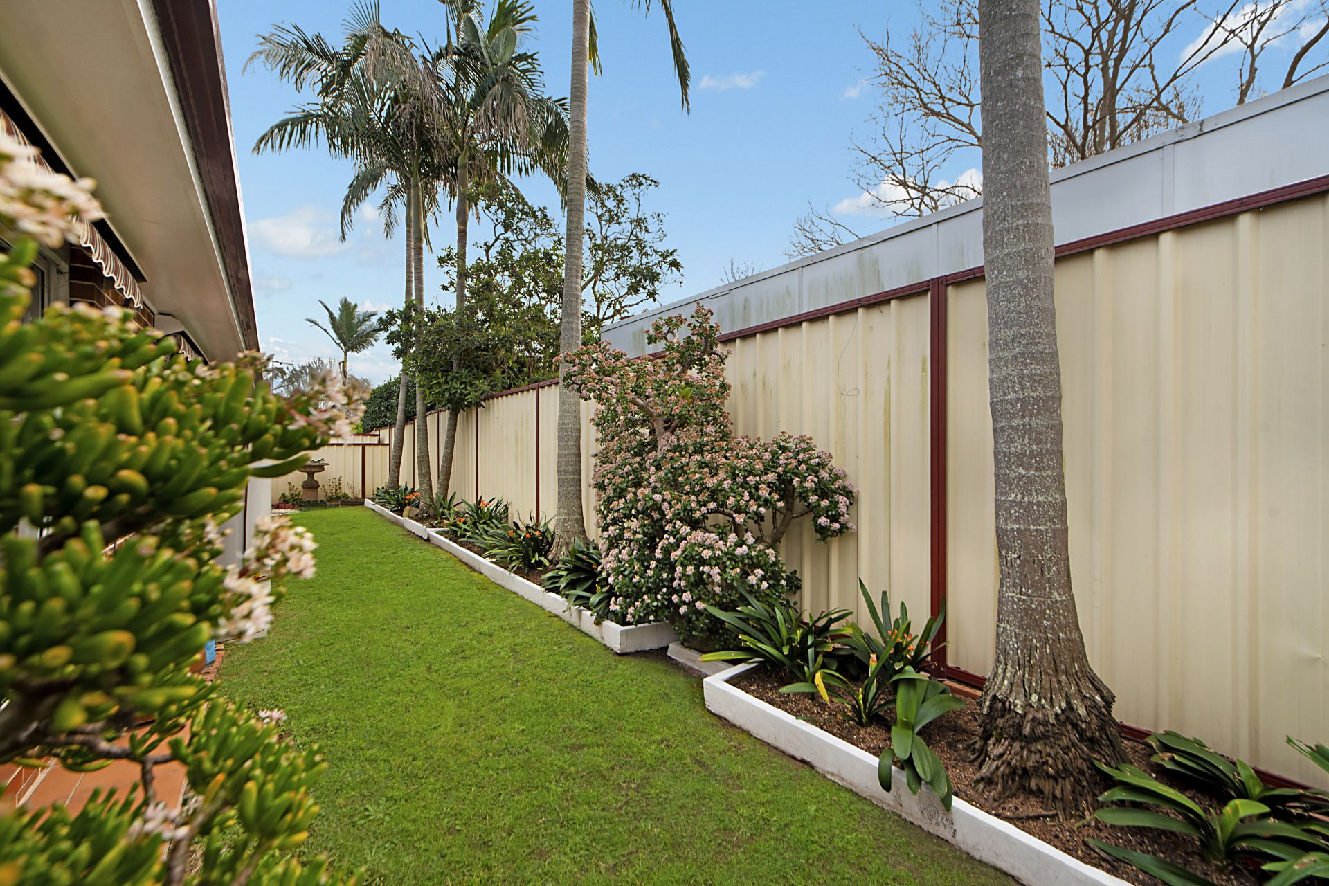 38A Albert Street, Speers Point McKiernan Real Estate