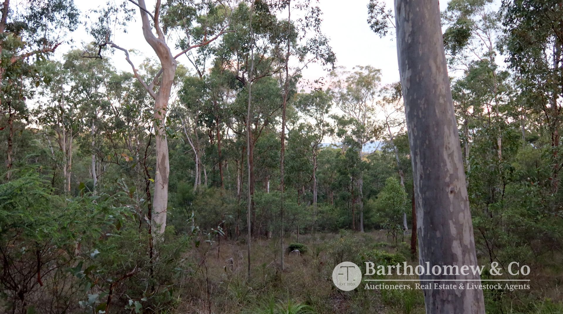 Real Estate For Sale Tamrookum Creek Road Tamrookum Creek , QLD
