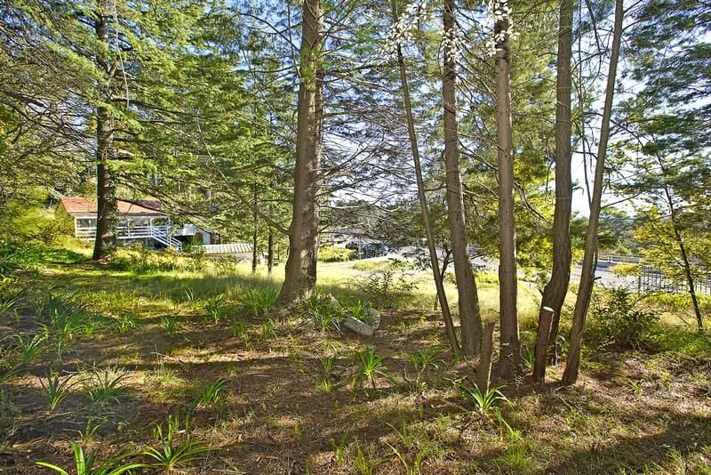 Real Estate For Sale 116 Great Western Highway Wentworth Falls , NSW