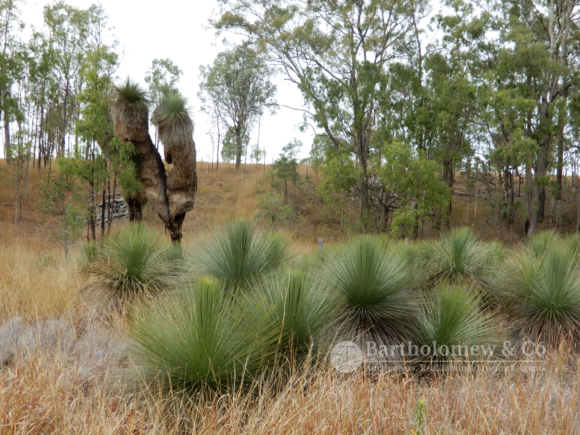 Real Estate For Sale Lot 1 Verrall Road Limestone Ridges , QLD