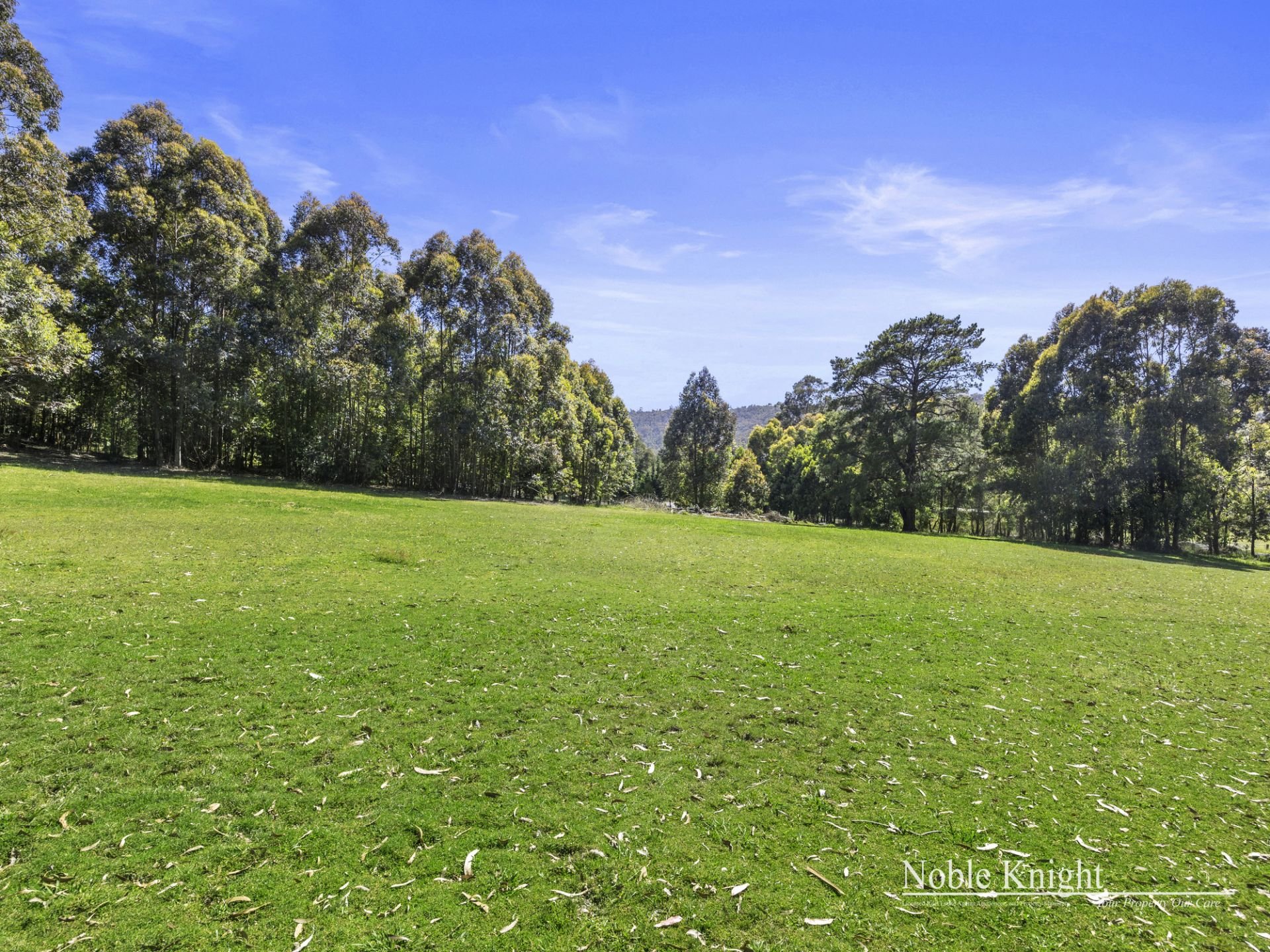 2229 Melba Highway, Dixons Creek Noble Knight