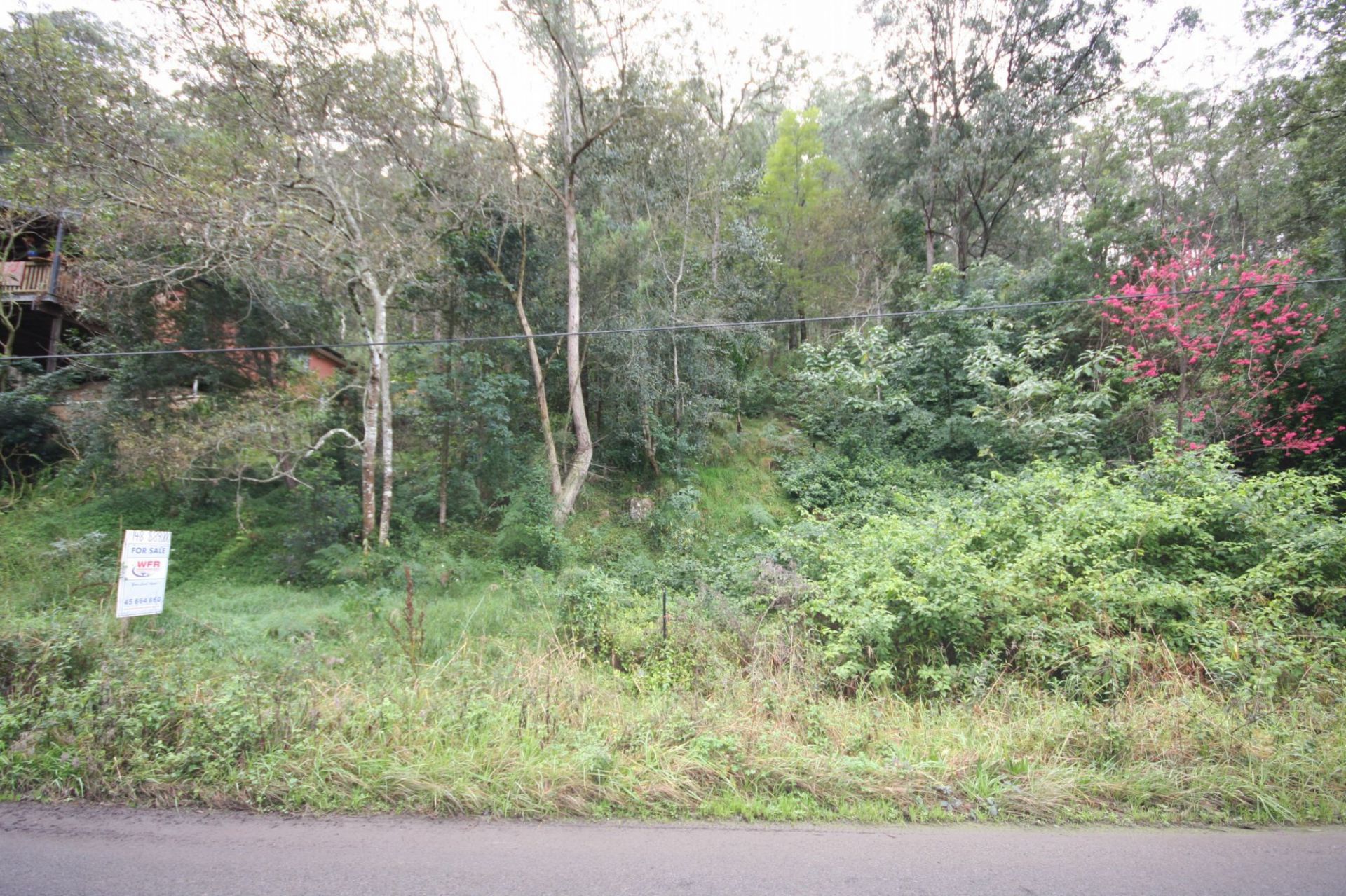 Real Estate For Sale Wisemans Ferry , NSW