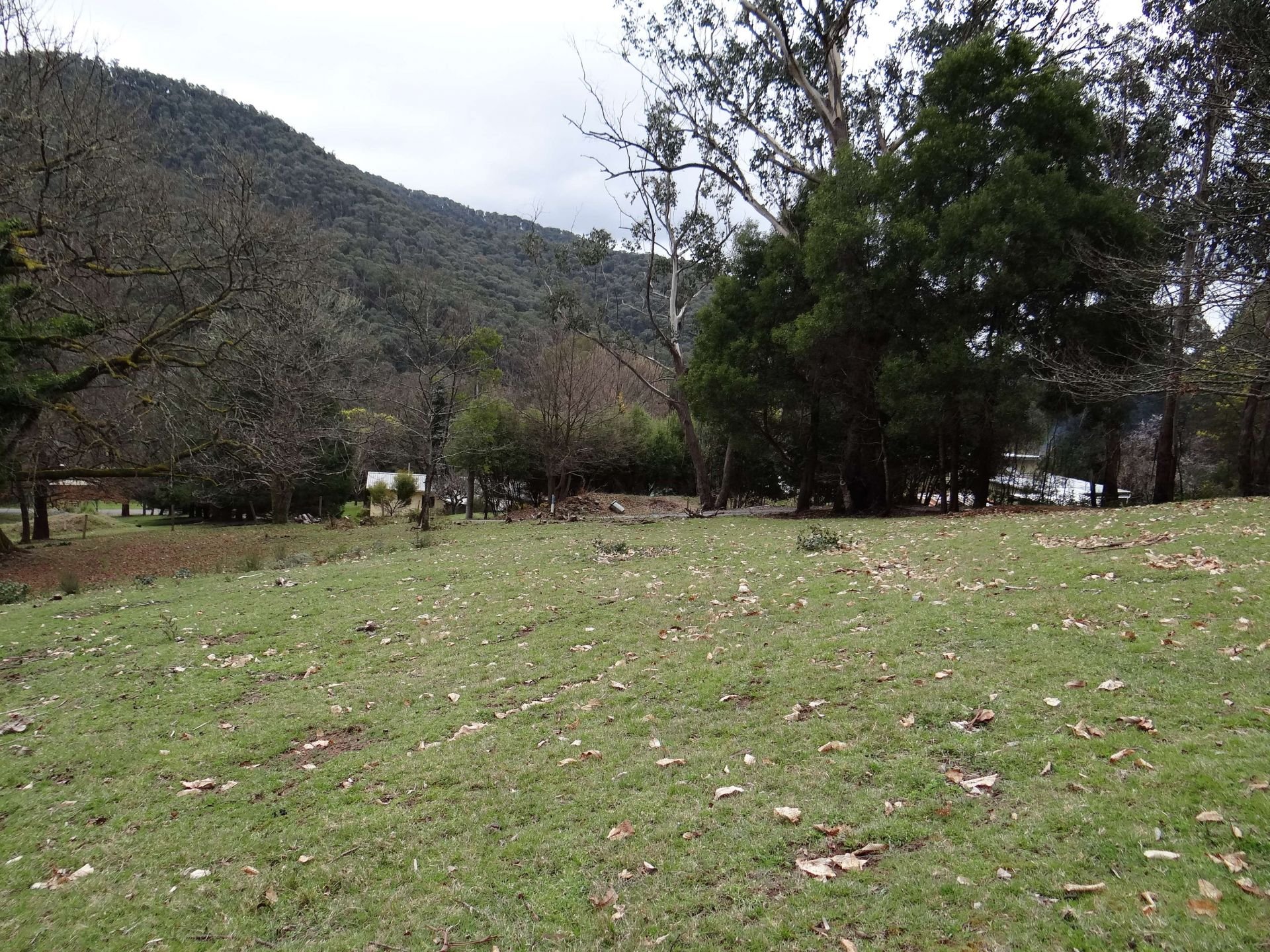 1/6 Howmans Lane, Harrietville Dickens Real Estate