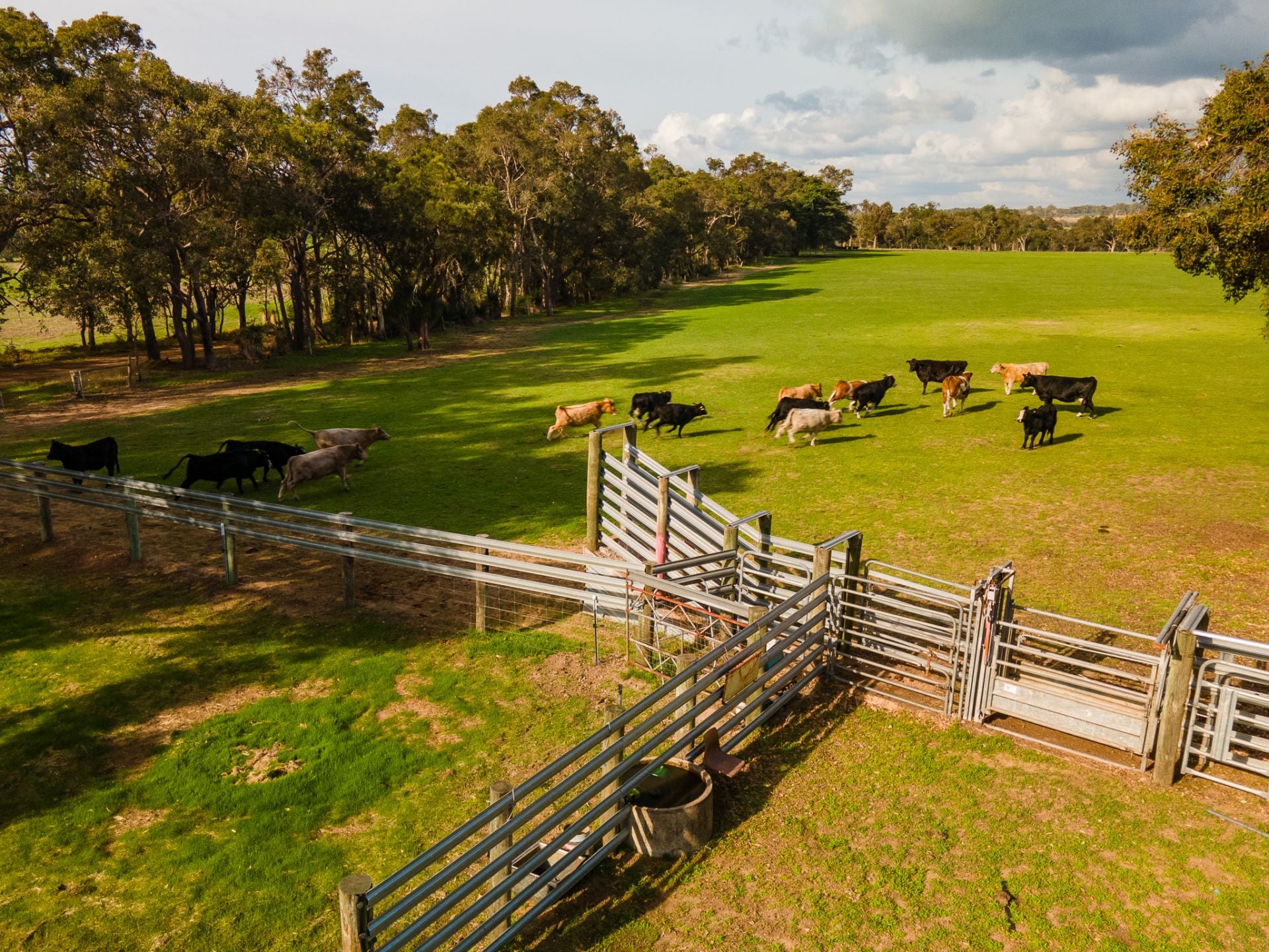 117 Farquhar Road, Chapman Hill Zephyr Real Estate