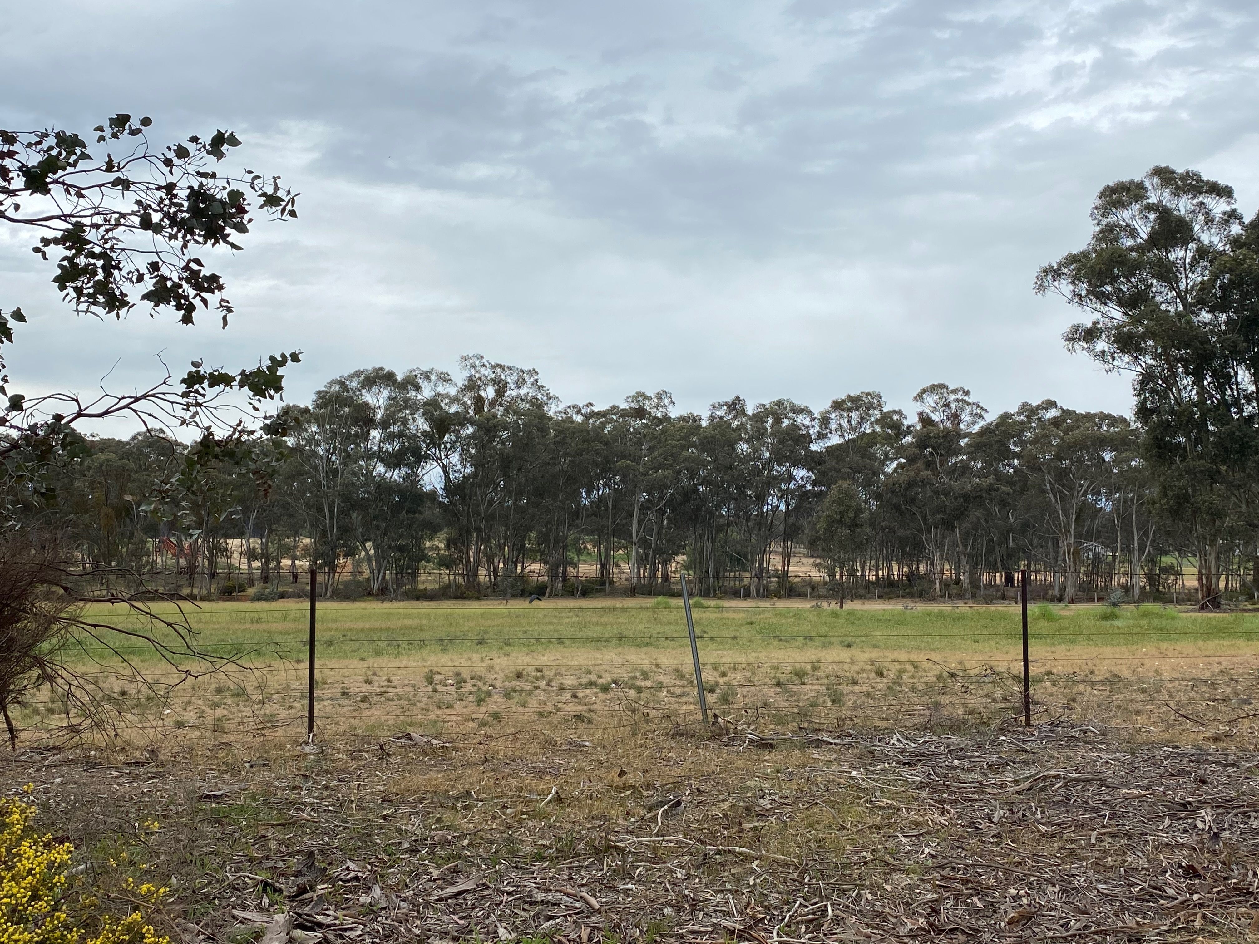 Real Estate For Sale Lot 7/ Denyers Road Bowenvale , VIC