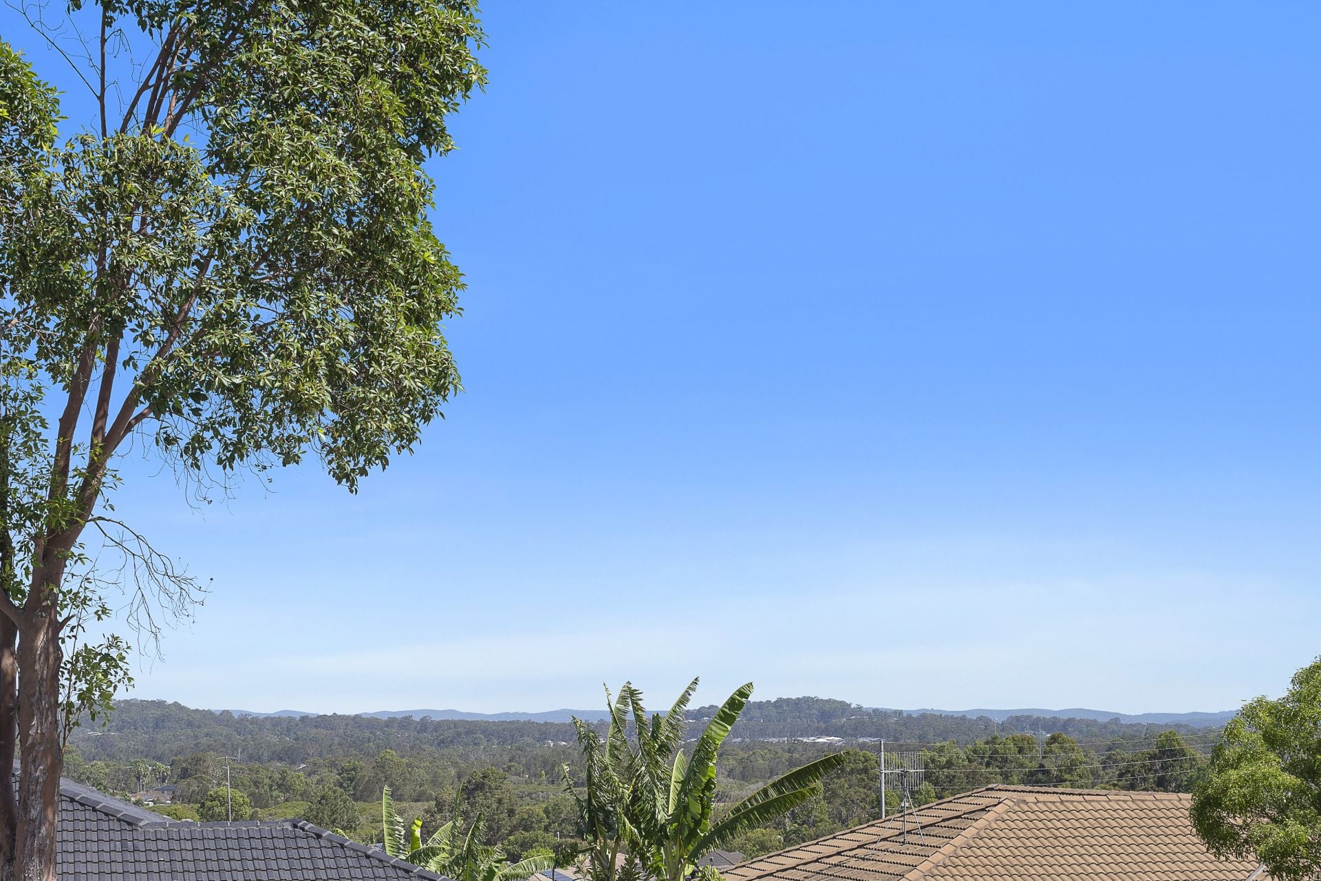 Real Estate For Sale 141 Mataram Road Woongarrah , NSW