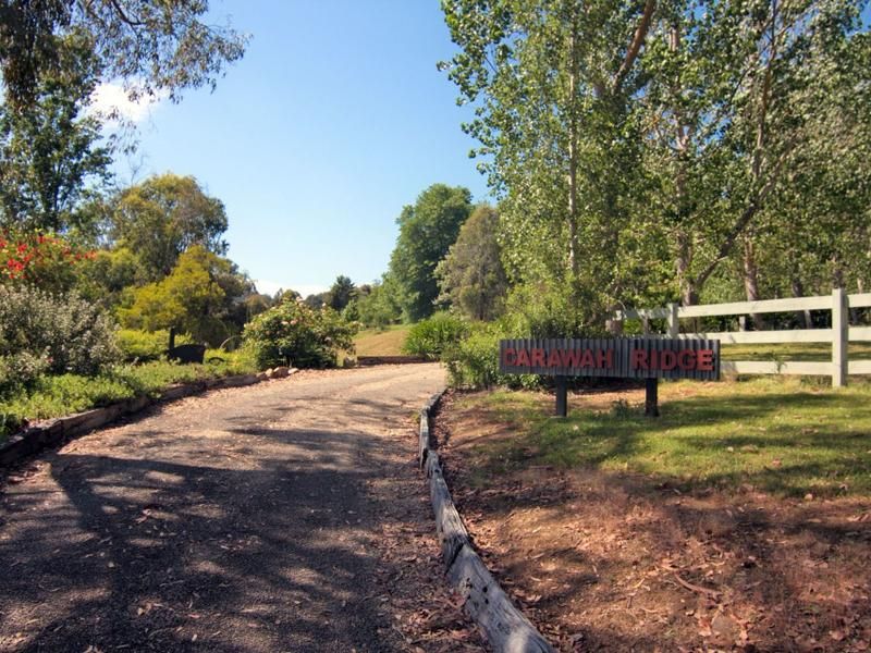 Real Estate For Sale 514 Buffalo Creek Road Myrtleford , VIC