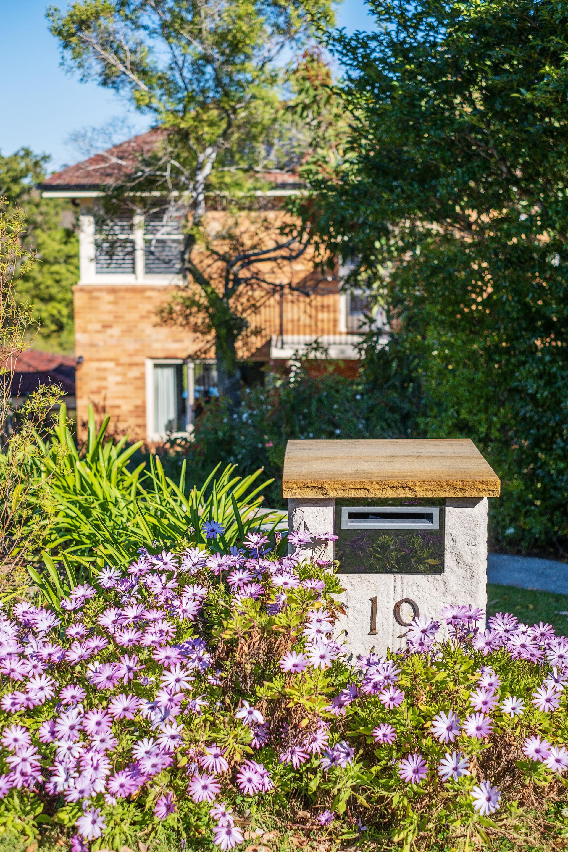 19 Carnarvon Road, ROSEVILLE McConnell Bourn Pty Ltd