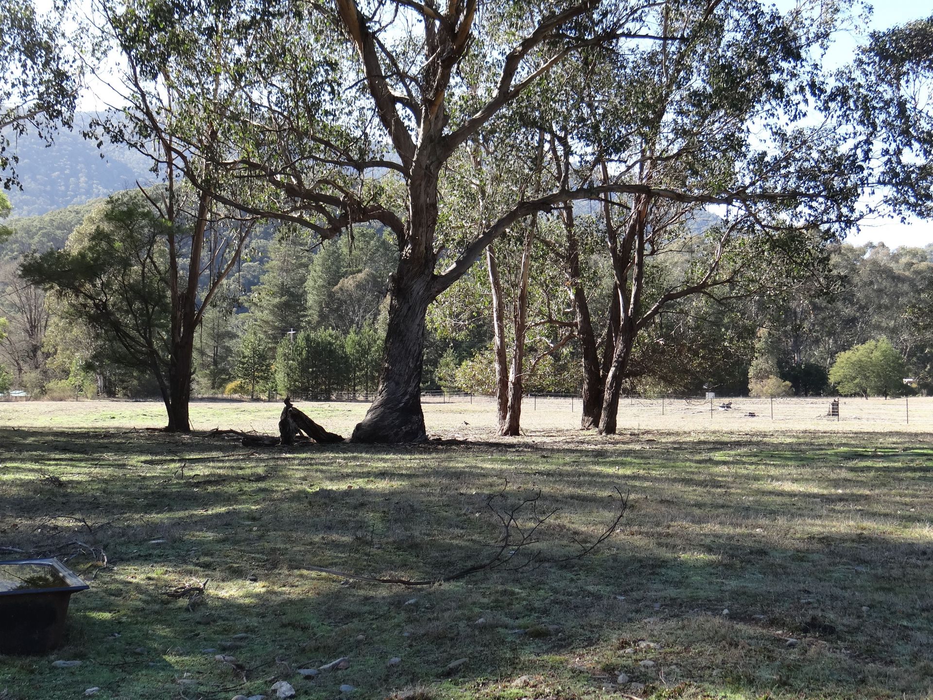 9 Farrington Lane, Freeburgh Dickens Real Estate