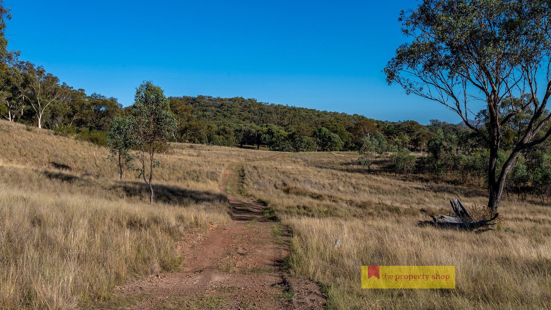 299 Lower Piambong Road, Mudgee The Property Shop
