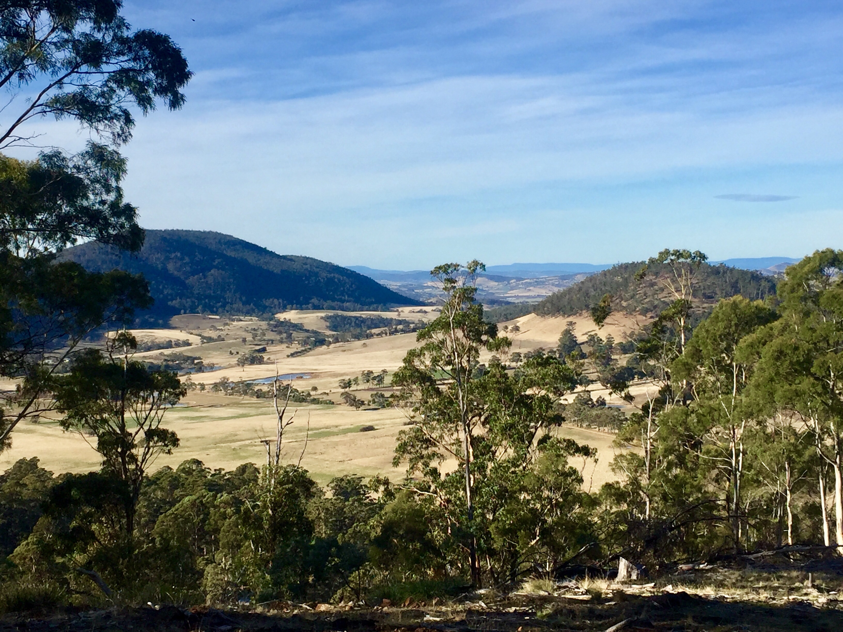 1132a Native Corners Rd, CAMPANIA, TAS, 7026 Land buyMyplace