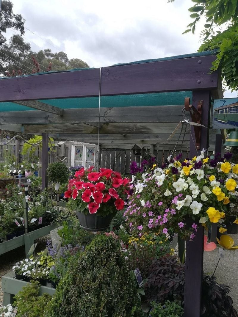 Home/Garden For Sale 30 North Street Yea VIC Property HQ