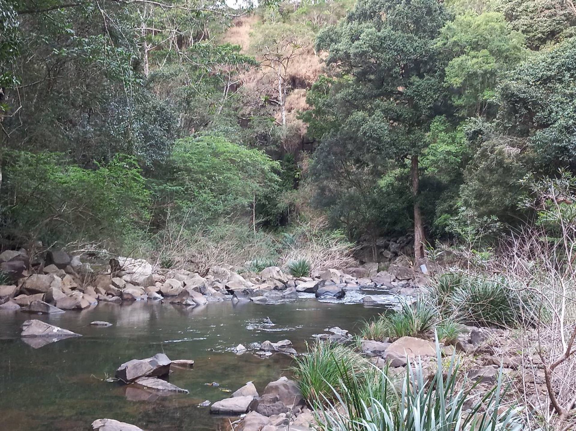 694 MalenyMontville Road, Balmoral Ridge Brant Property