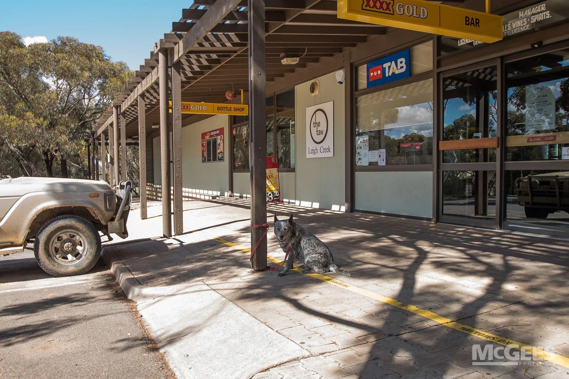 11 Black Oak Drive, Leigh Creek McGees Property Adelaide