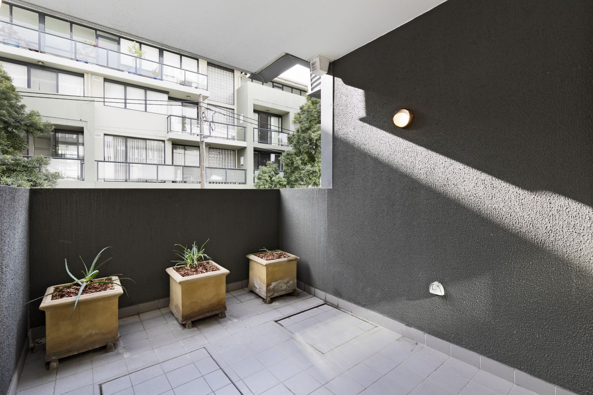 35 Purkis Street Camperdown NSW 2050 Apartment for Rent 7403201