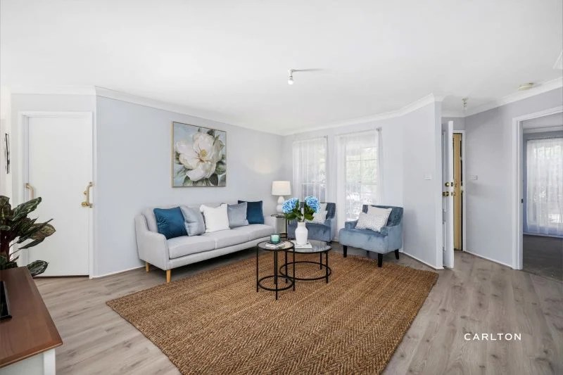 AwardWinning Real Estate Agency Carlton Real Estate