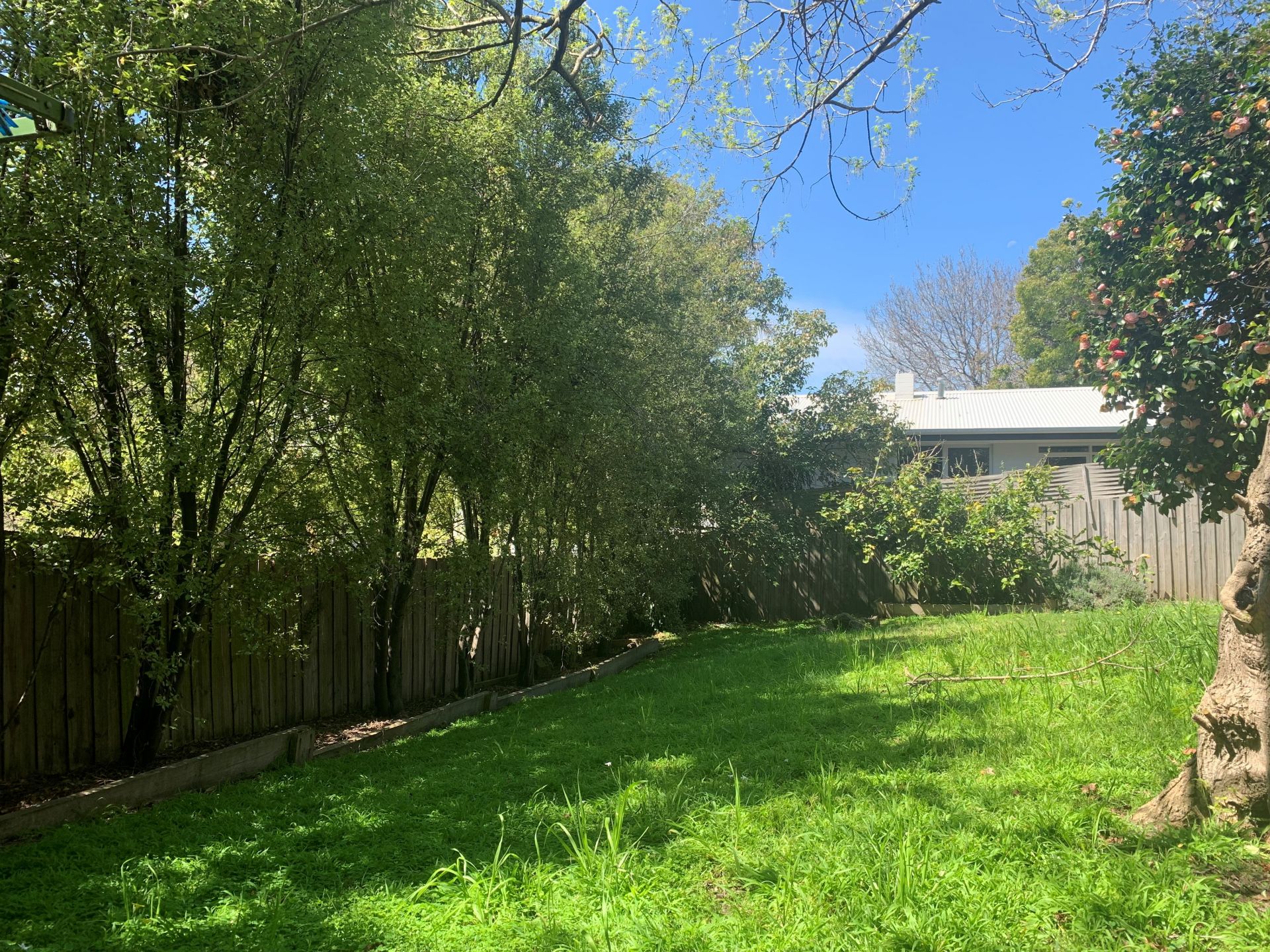 013 Tavistock Road, Frankston South OBrien Real Estate