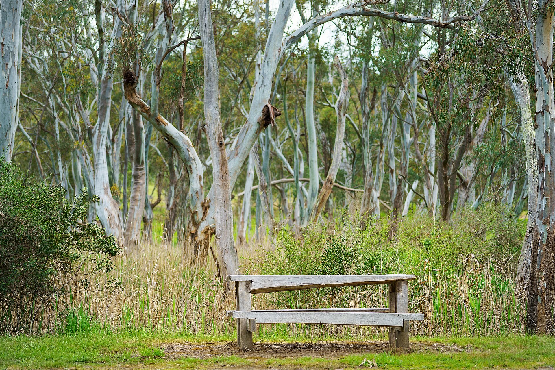 Real Estate For Sale Lot 20/ HarrowCasterton Road Harrow , VIC