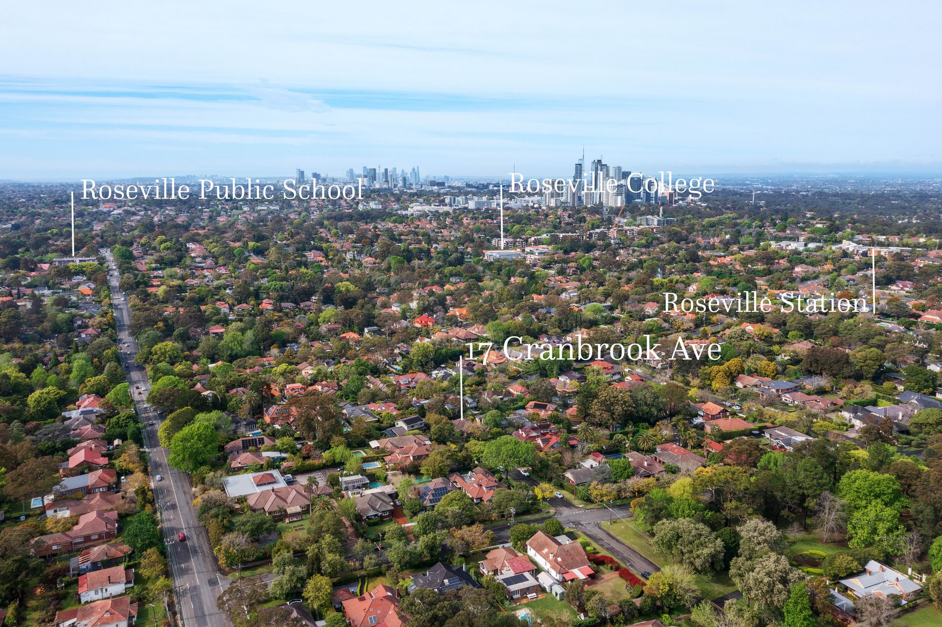 17 Cranbrook Avenue, ROSEVILLE McConnell Bourn Pty Ltd