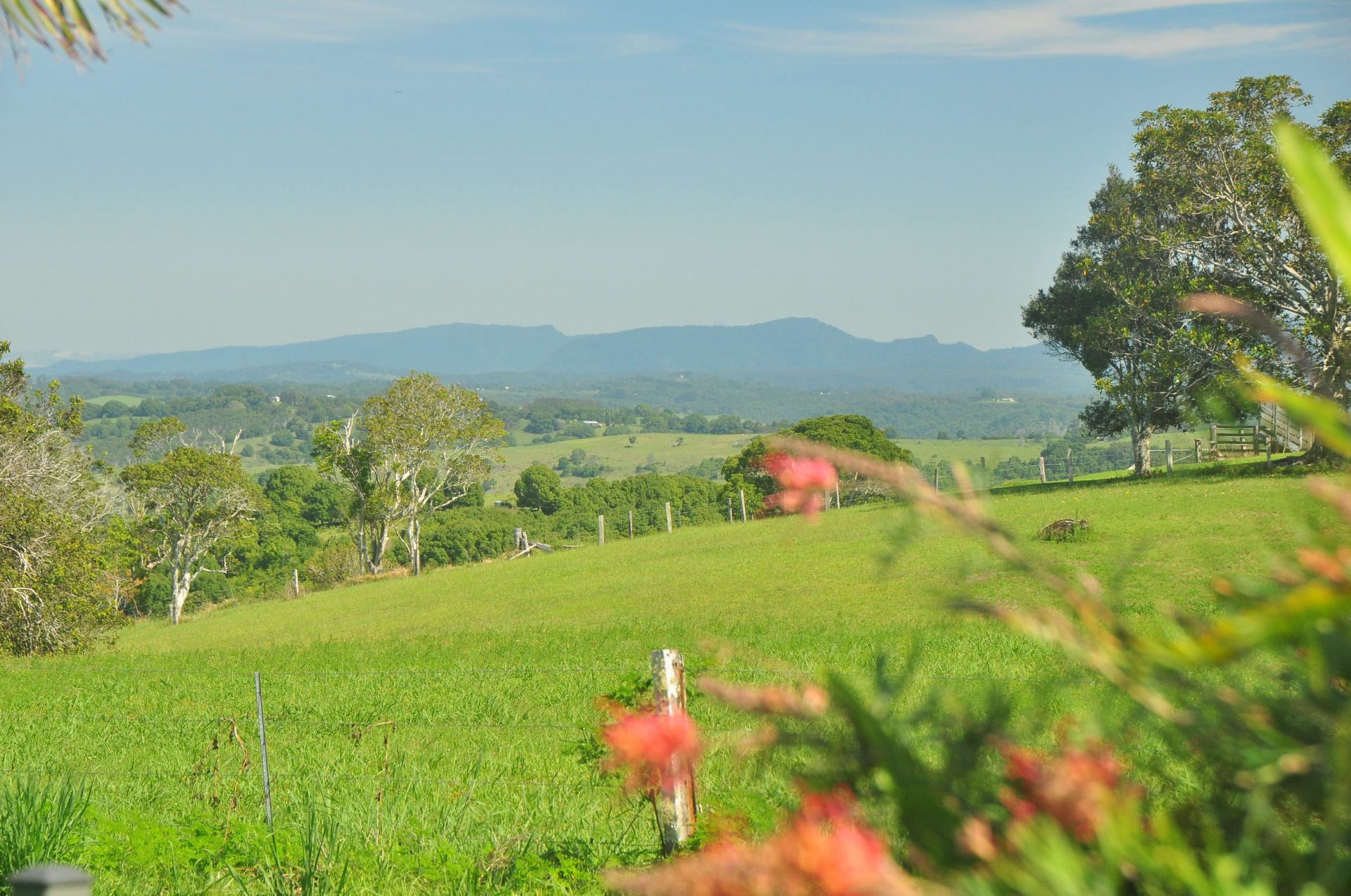 2 Satinwood Drive, McLeans Ridges Lois Buckett Real Estate