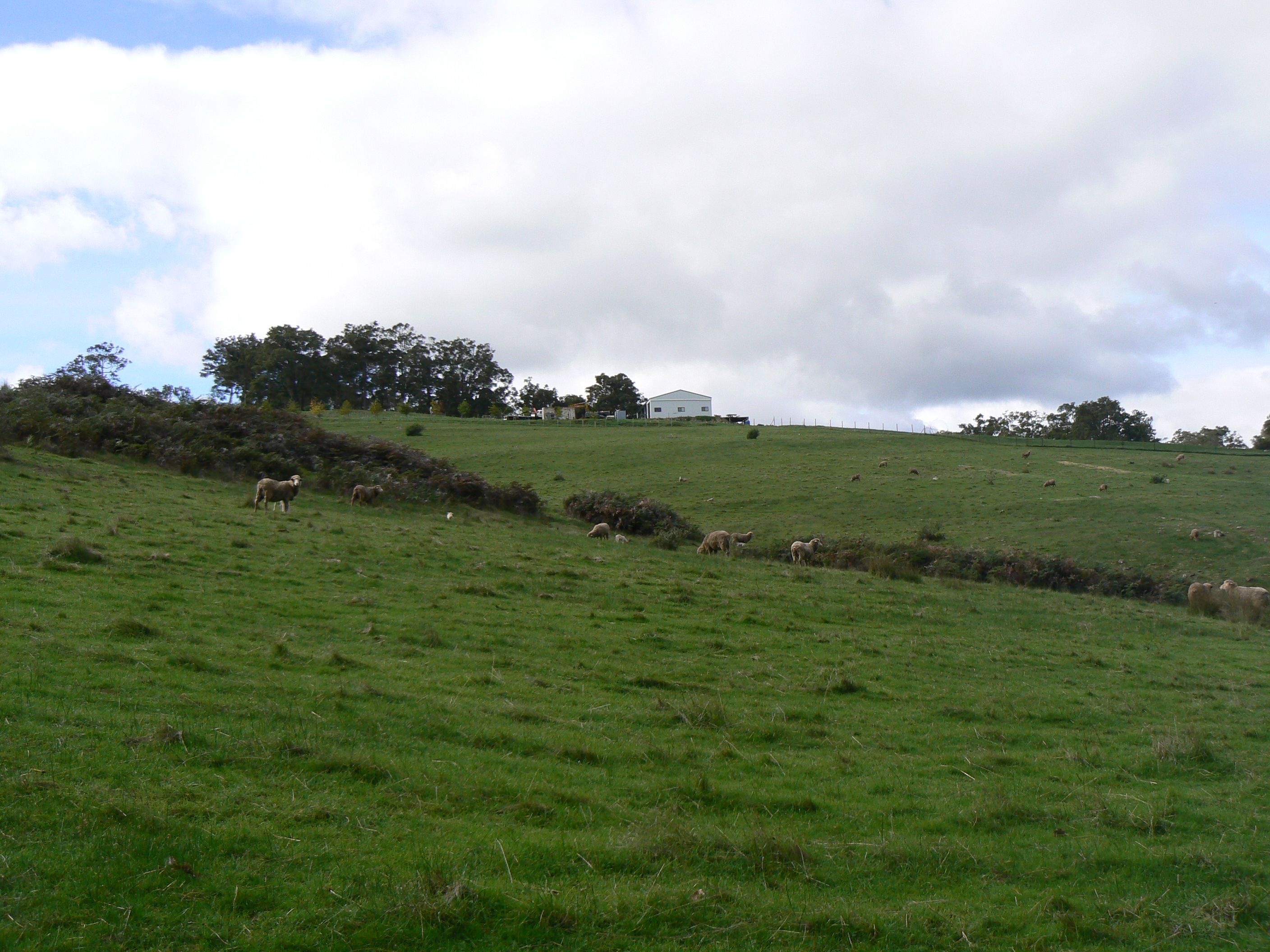 Real Estate For Sale Lot 2 Upper Capel Road Upper Capel , WA