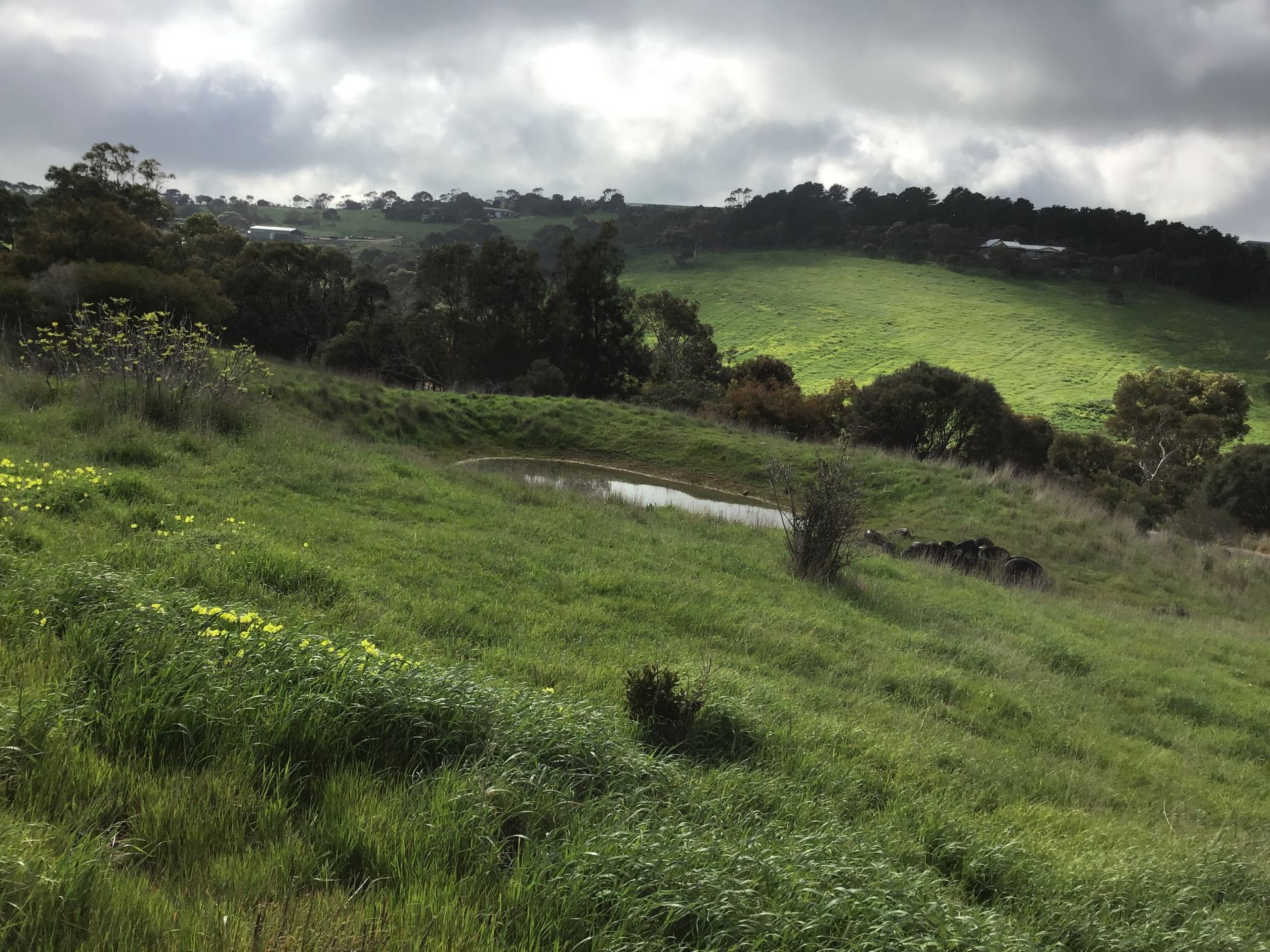 816 Forktree Road, Carrickalinga South Coast Realty