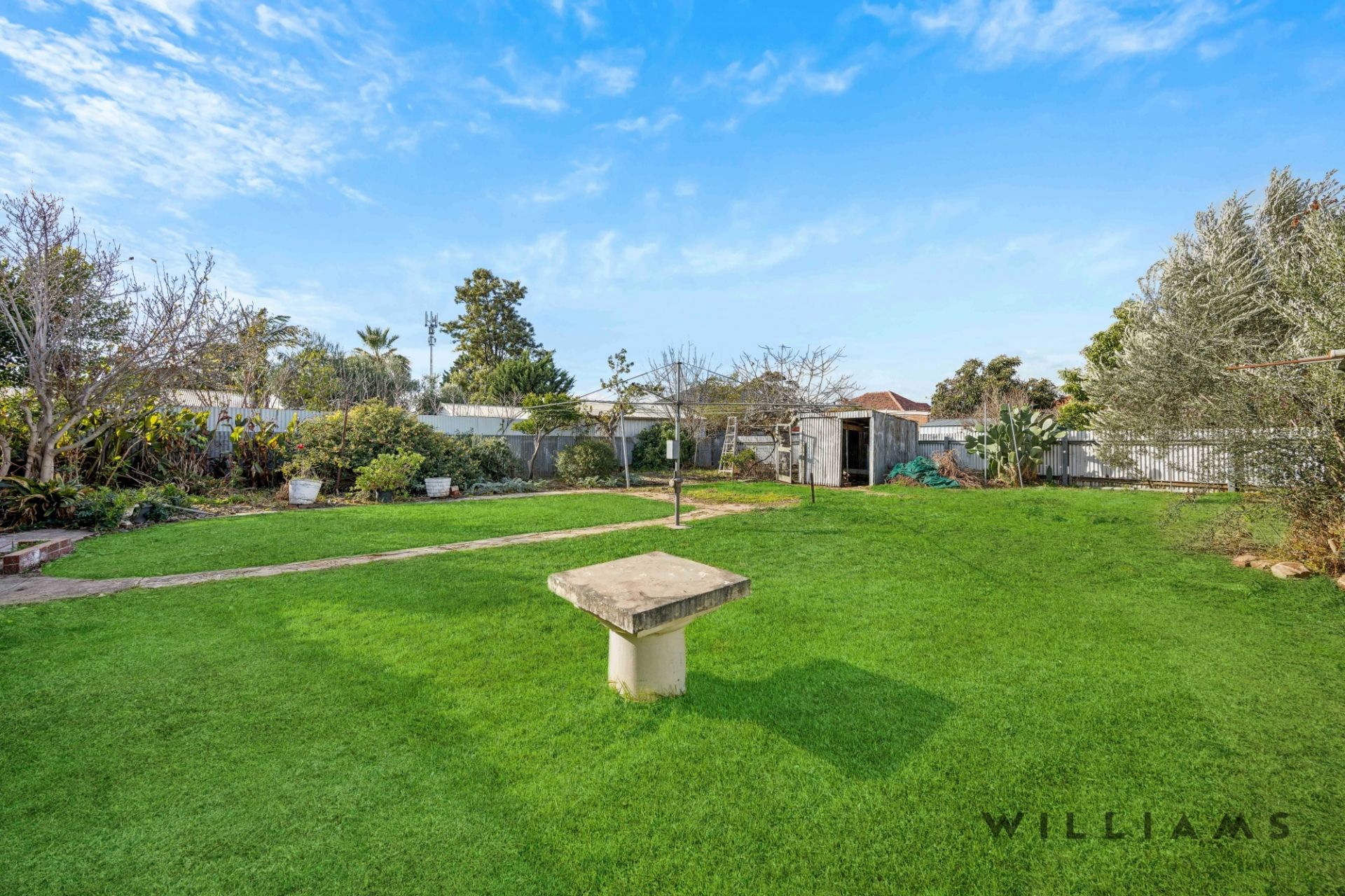 7 Holbrooks Road, Flinders Park Williams Real Estate