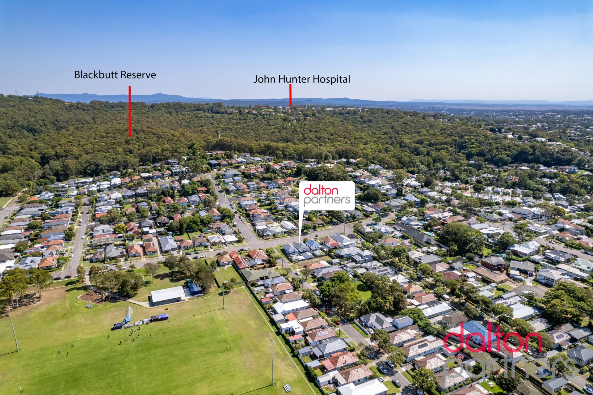 16 Orchardtown Road, New Lambton Dalton Partners The Junction