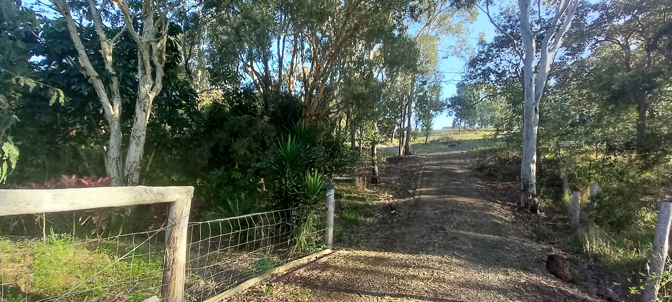 Real Estate For Sale 286 Old Creek Road Childers , QLD