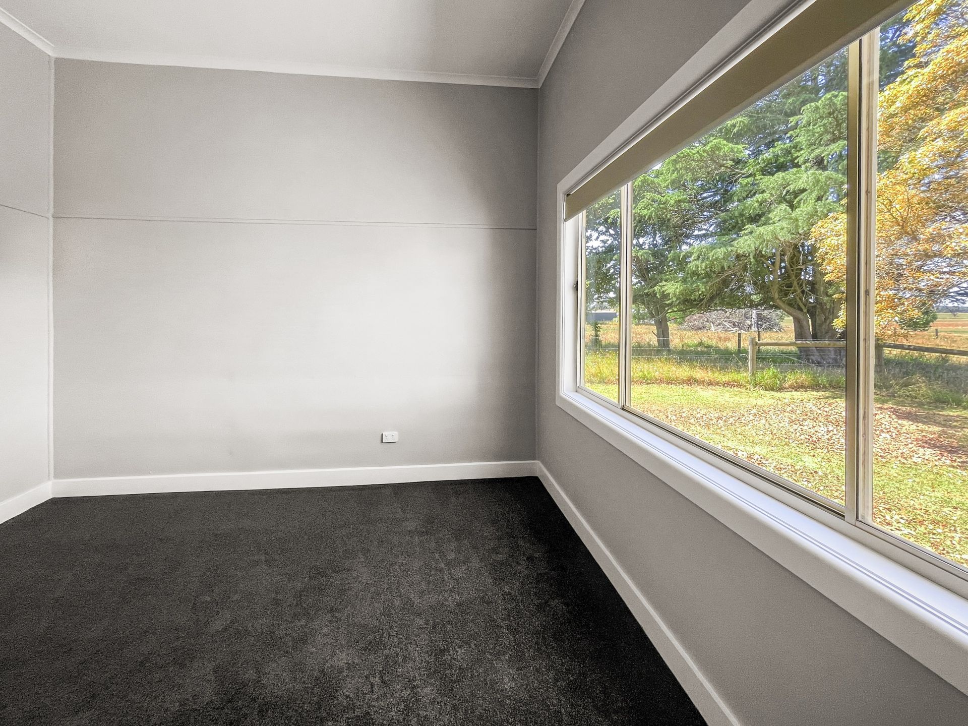 226 Little Moe River Road, Darnum OBrien Real Estate