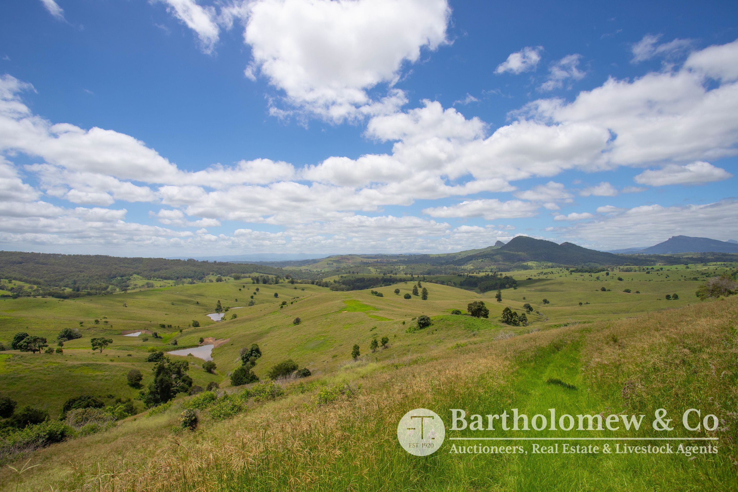 Real Estate For Sale 390 Cannon Creek Road Cannon Creek , QLD