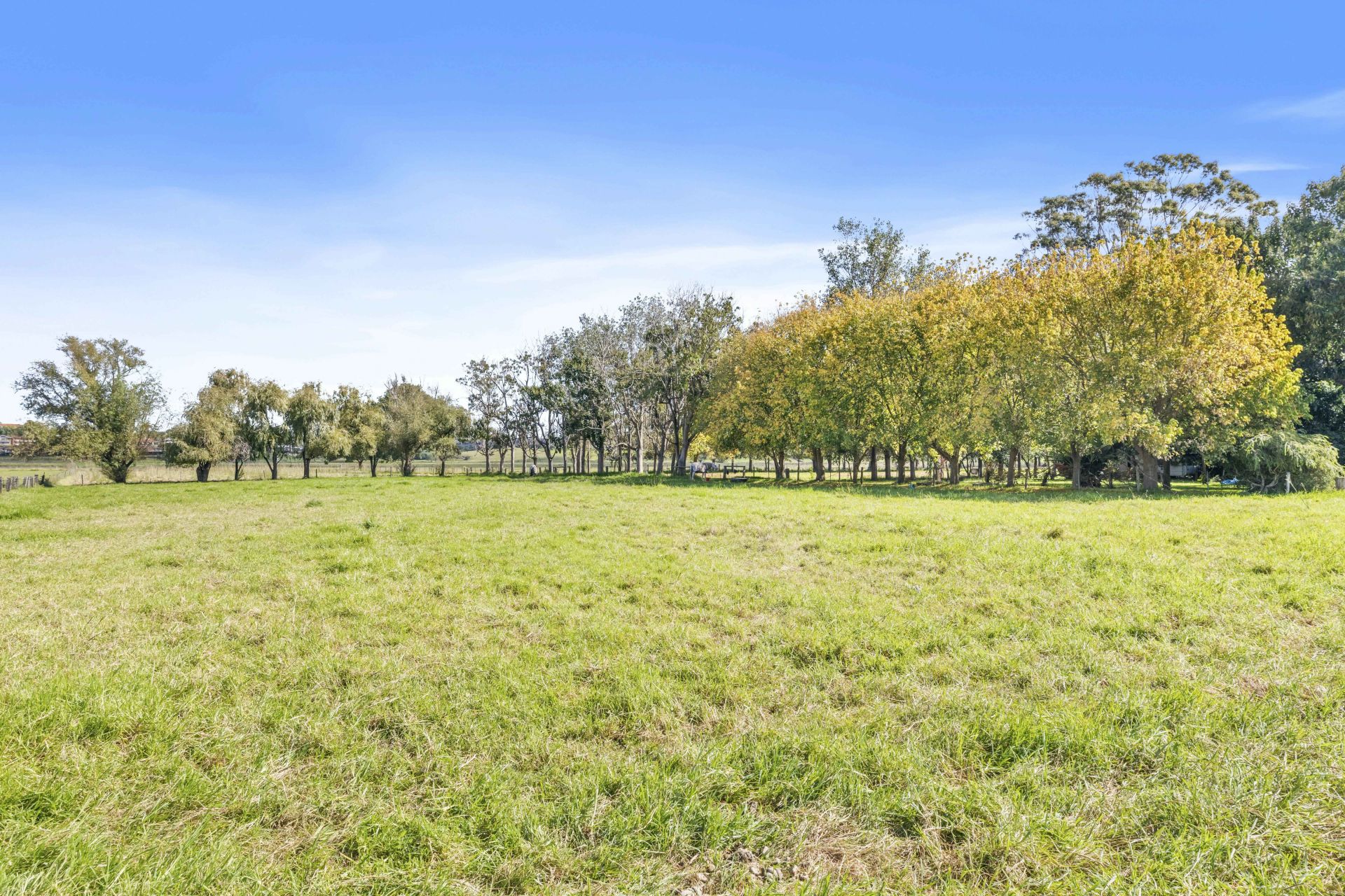 39 Oakhampton Road, Oakhampton Peters Real Estate