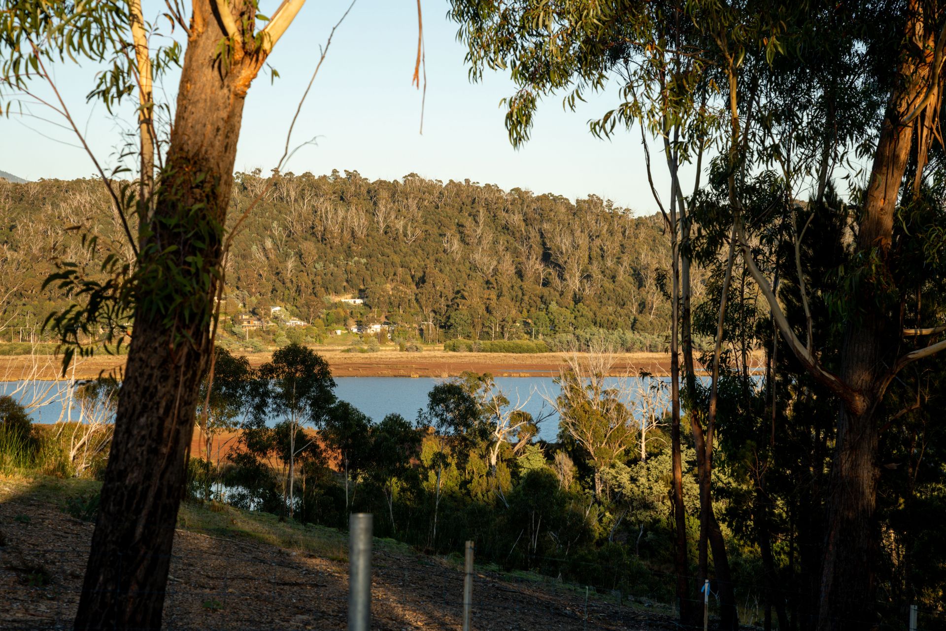 141 Riverview Road, Scamander Harrison Agents