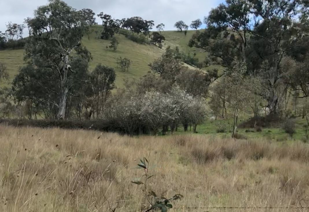 Real Estate For Sale Taits Lane Yarck , VIC