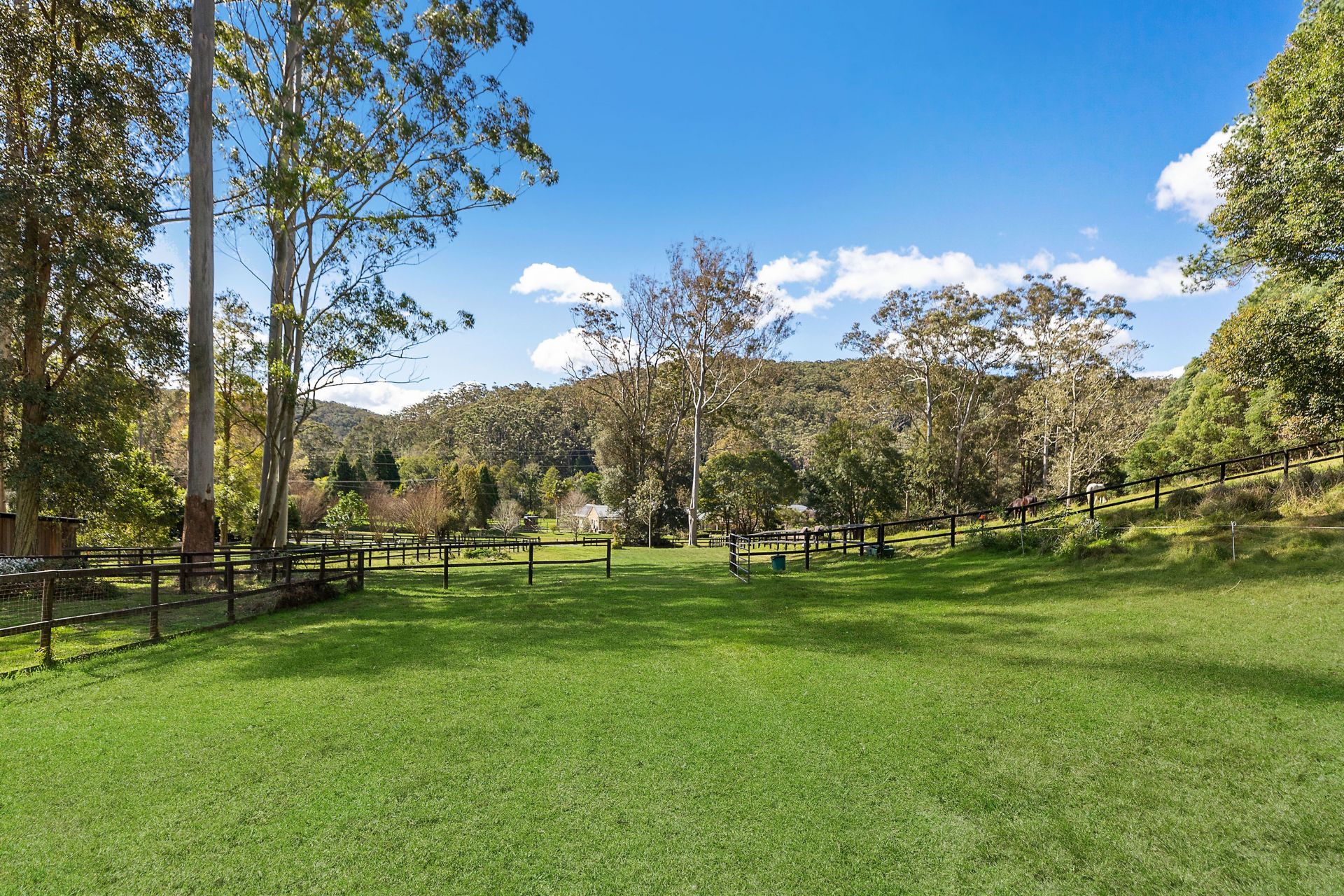 155 Peach Orchard Road, Fountaindale Whiteman Property