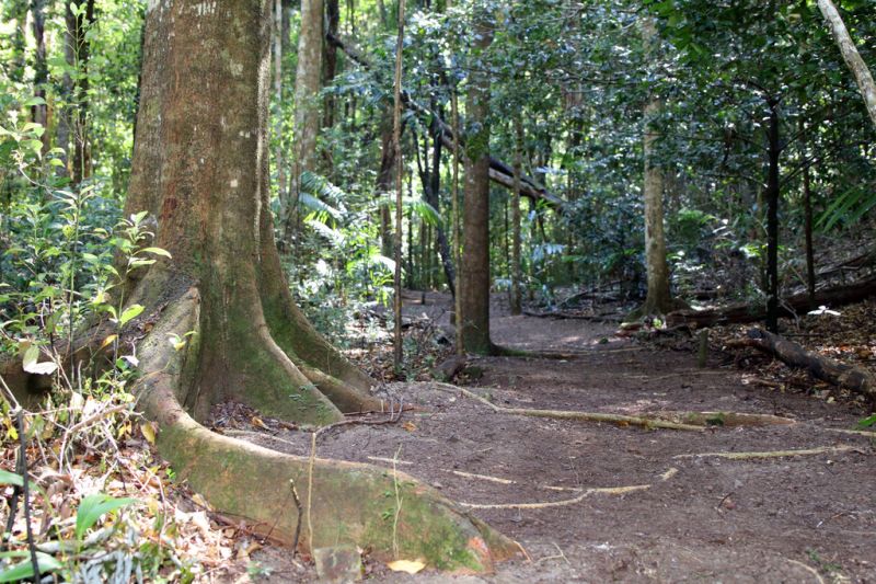 Real Estate For Sale Lot 29 Young Road (Siddha Farm) Nimbin , NSW