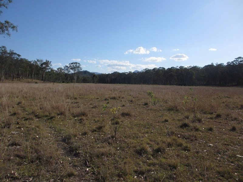 Real Estate For Sale 81 Simmonds Road Tarome , QLD