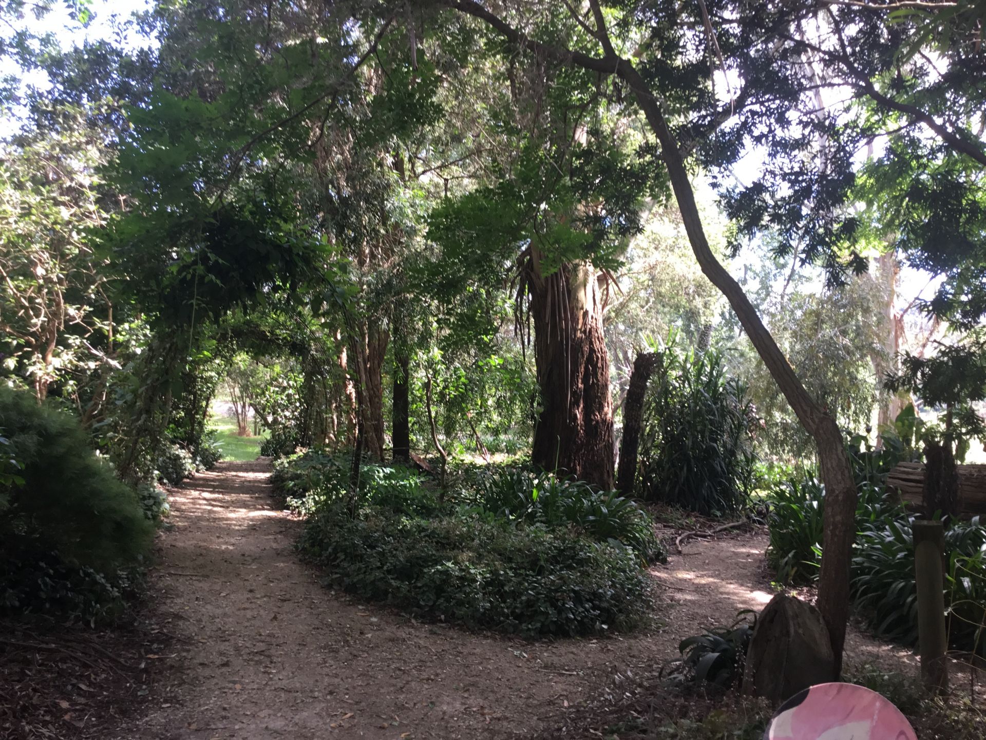 55 Olsens Road, Poowong East Karen McCormick Real Estate