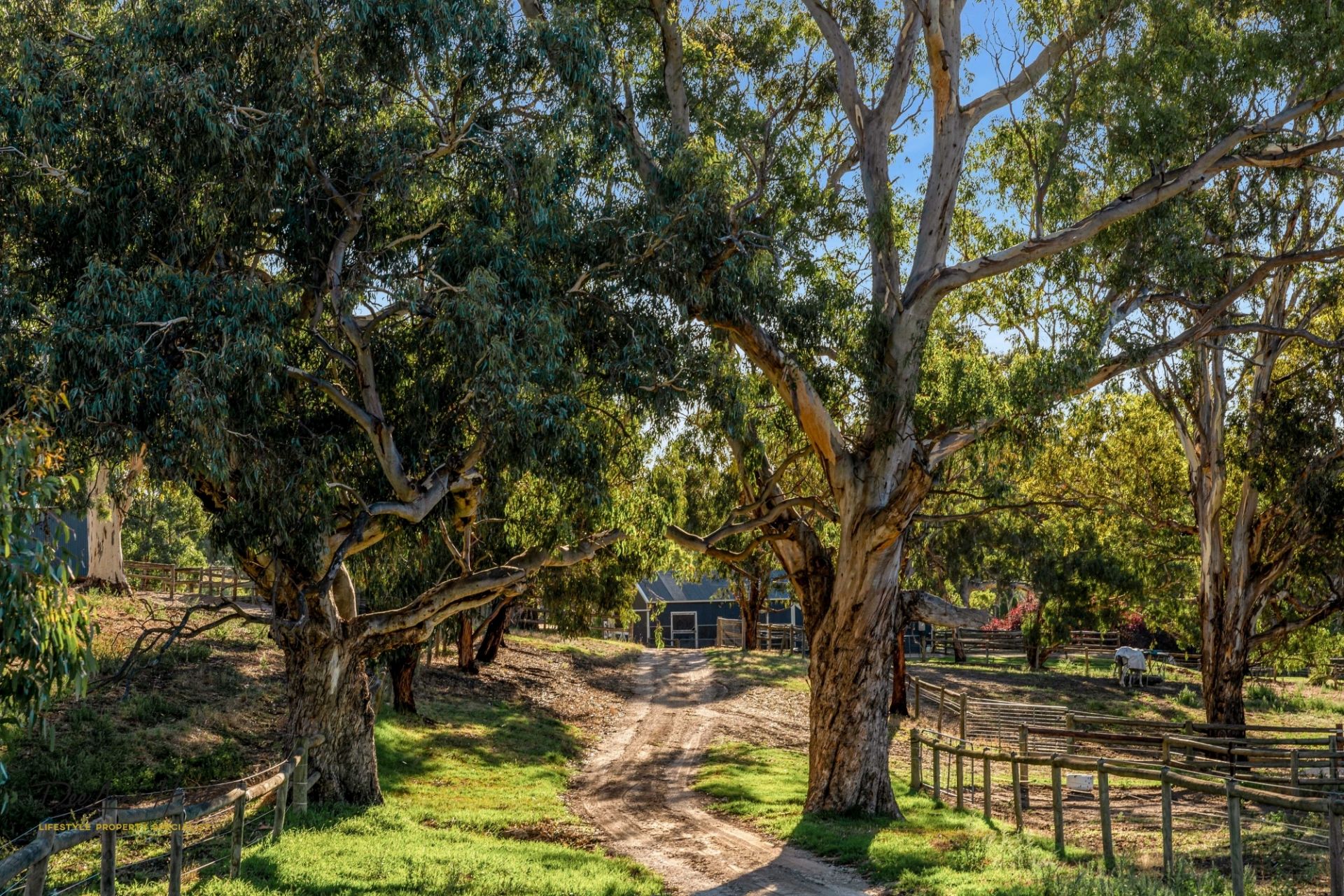 290 Gemmell Road, Macclesfield Williams Real Estate