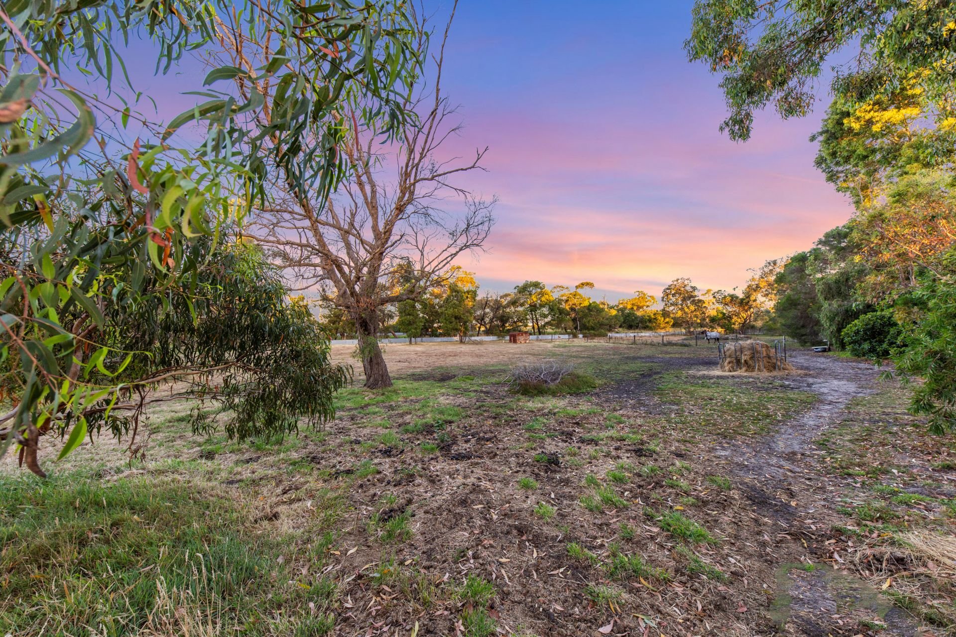 2 Currawong Grove, Cannons Creek OBrien Real Estate