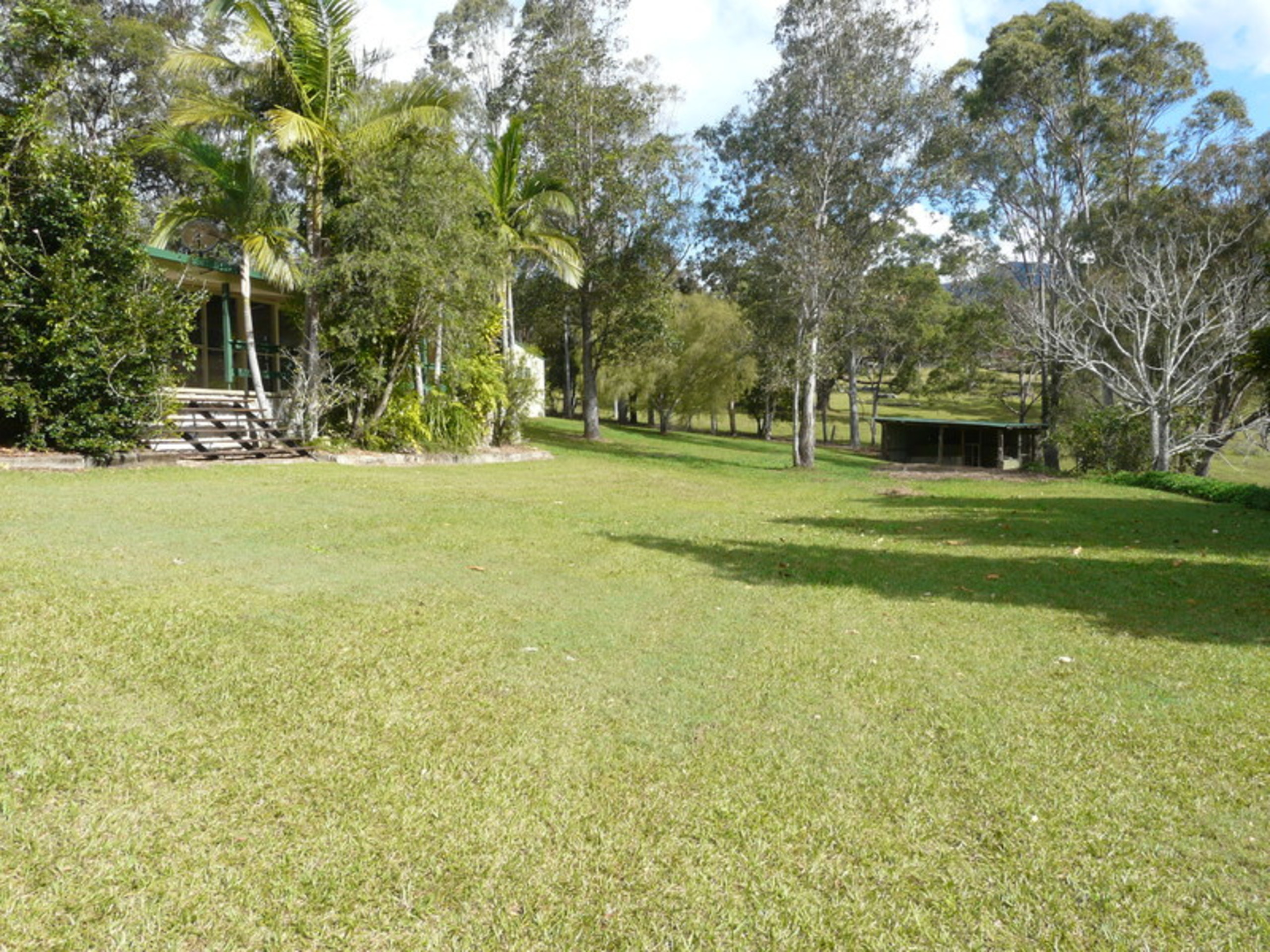 124 Pinnacle Road, Tyalgum. NSW. 2484, TYALGUM, NSW, 2484 Acreage