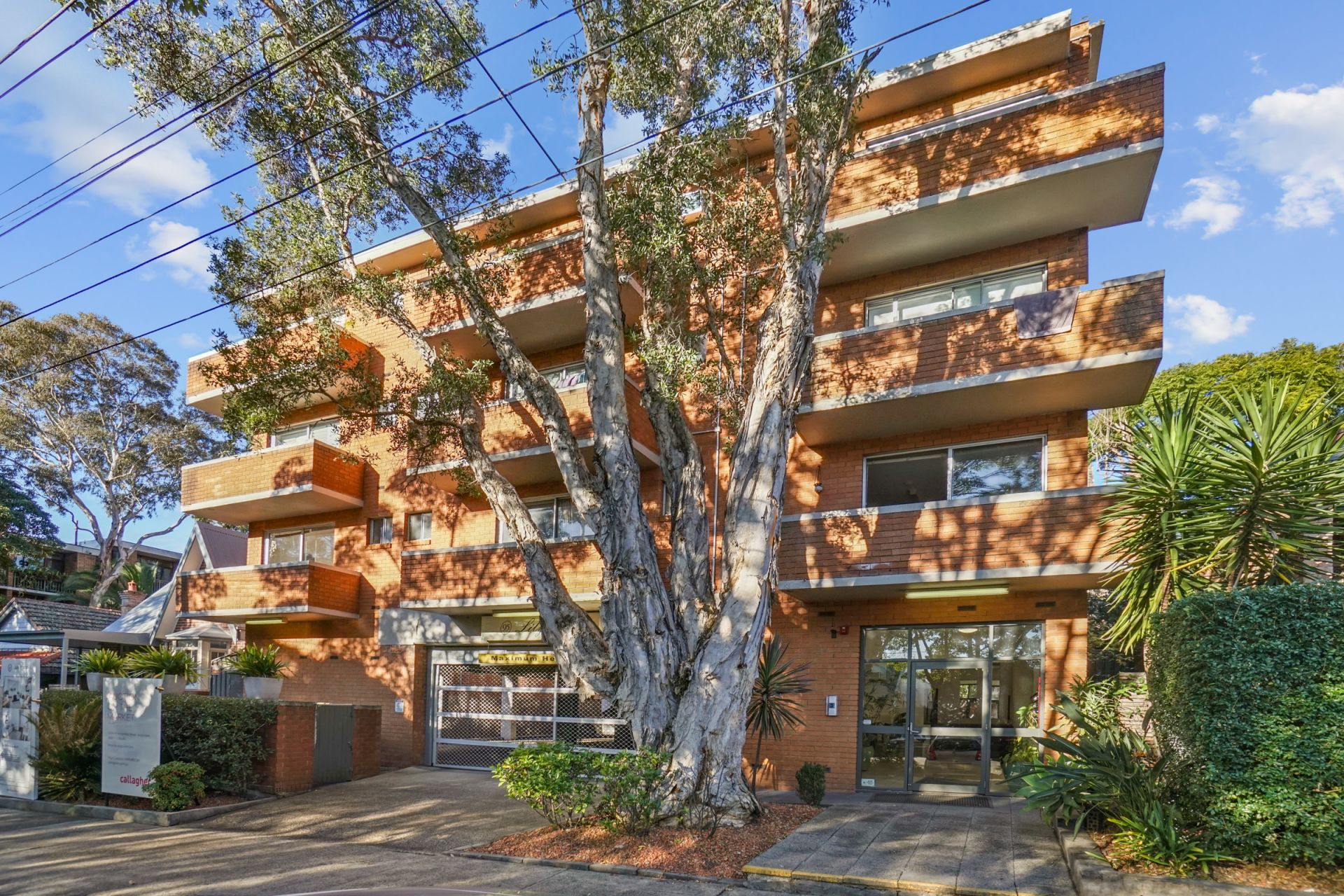 Real Estate For Lease 14/95 Annandale Street Annandale , NSW