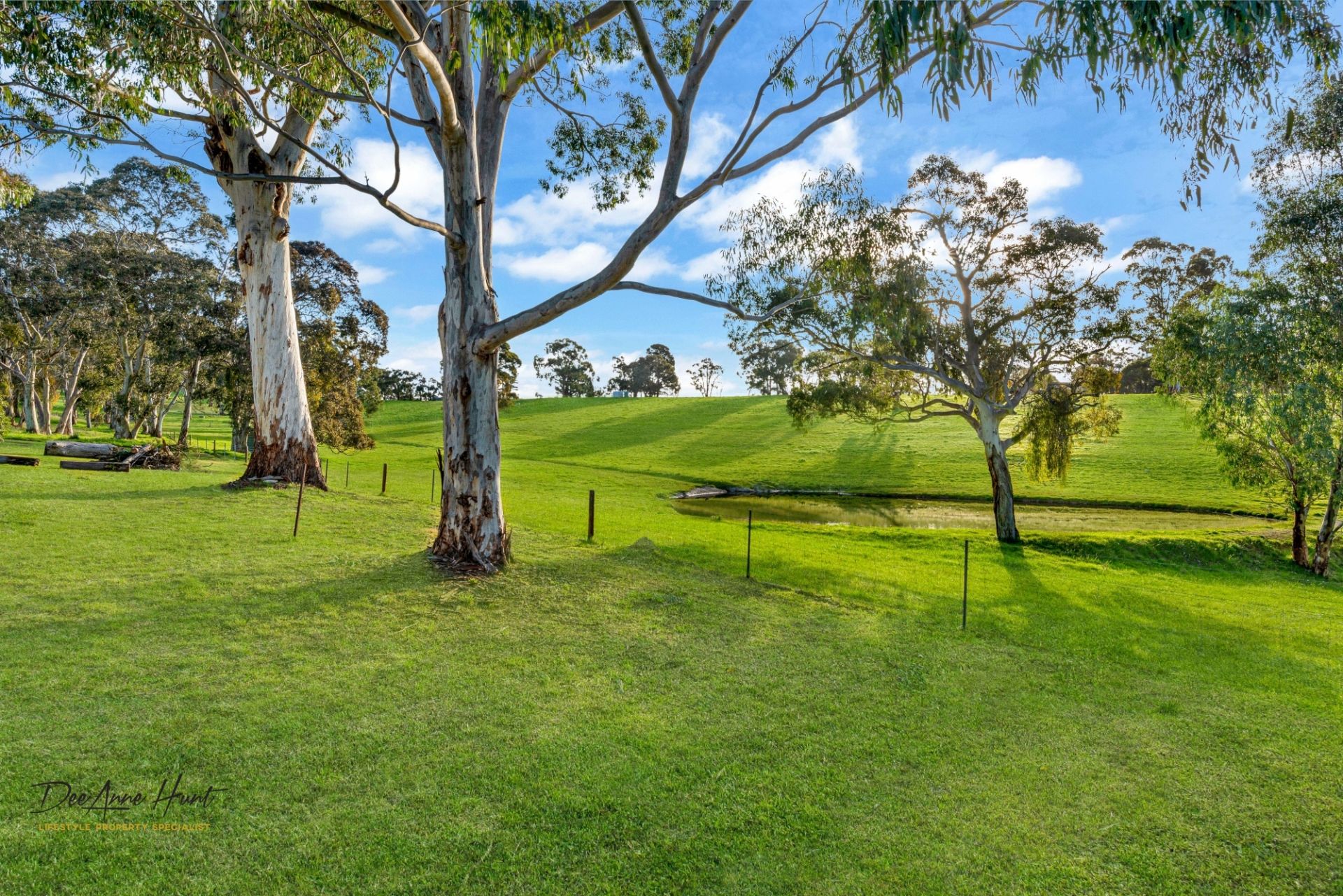 934 Strathalbyn Road, Biggs Flat Williams Real Estate