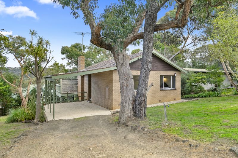 Houses to rent Anglesea Anglesea Real Estate Agents Great Ocean