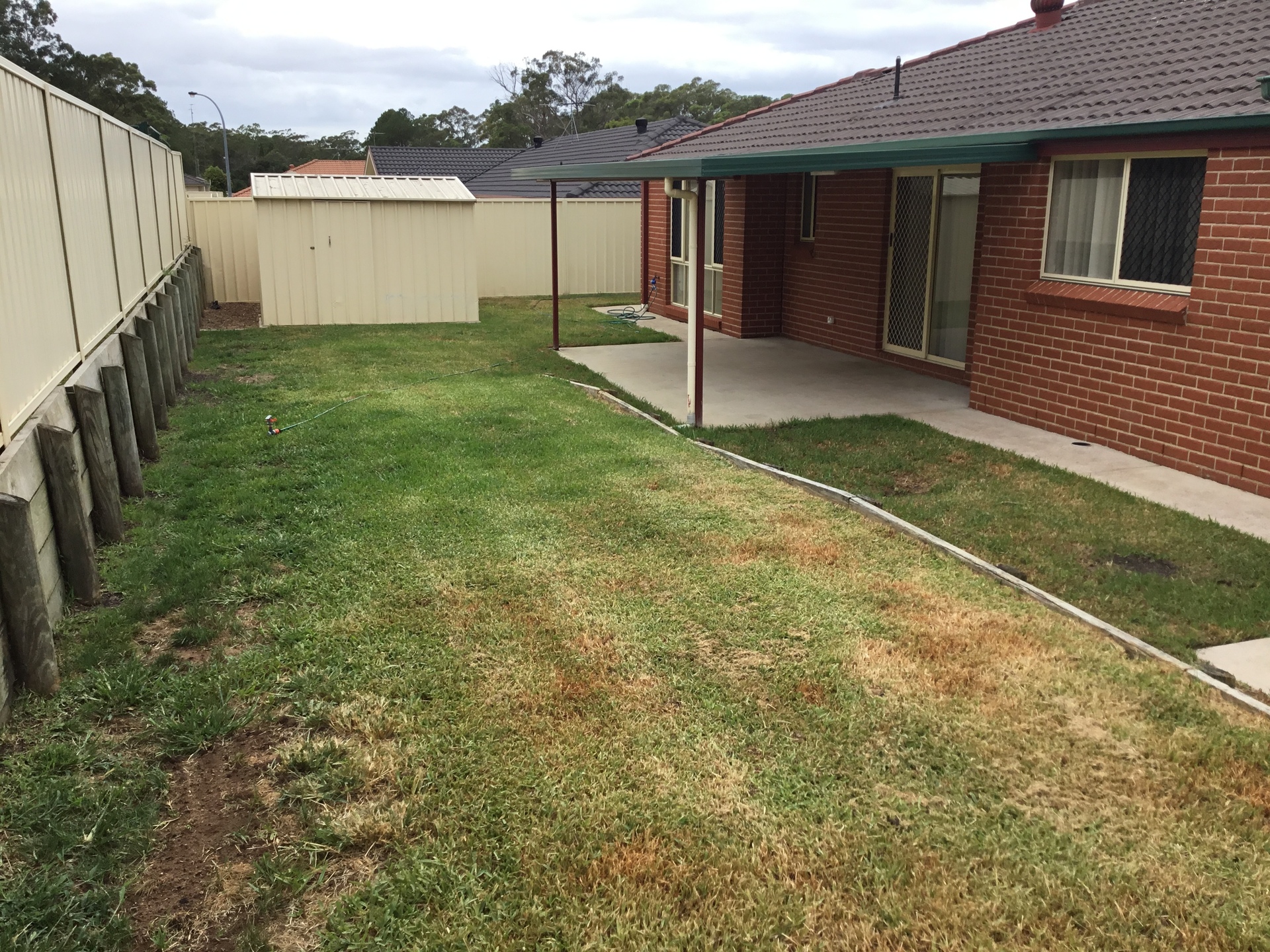 Medowie House For Sale 6358840