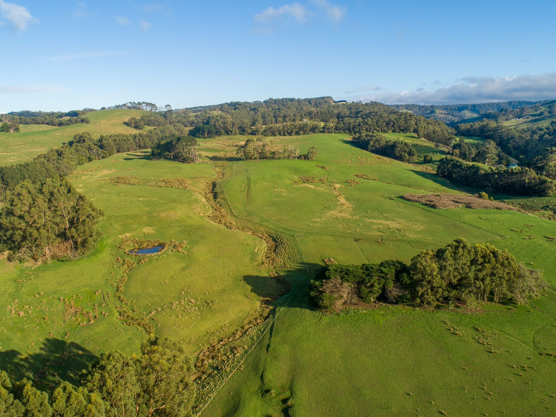 Real Estate For Sale 313 Barham River Road Apollo Bay , VIC