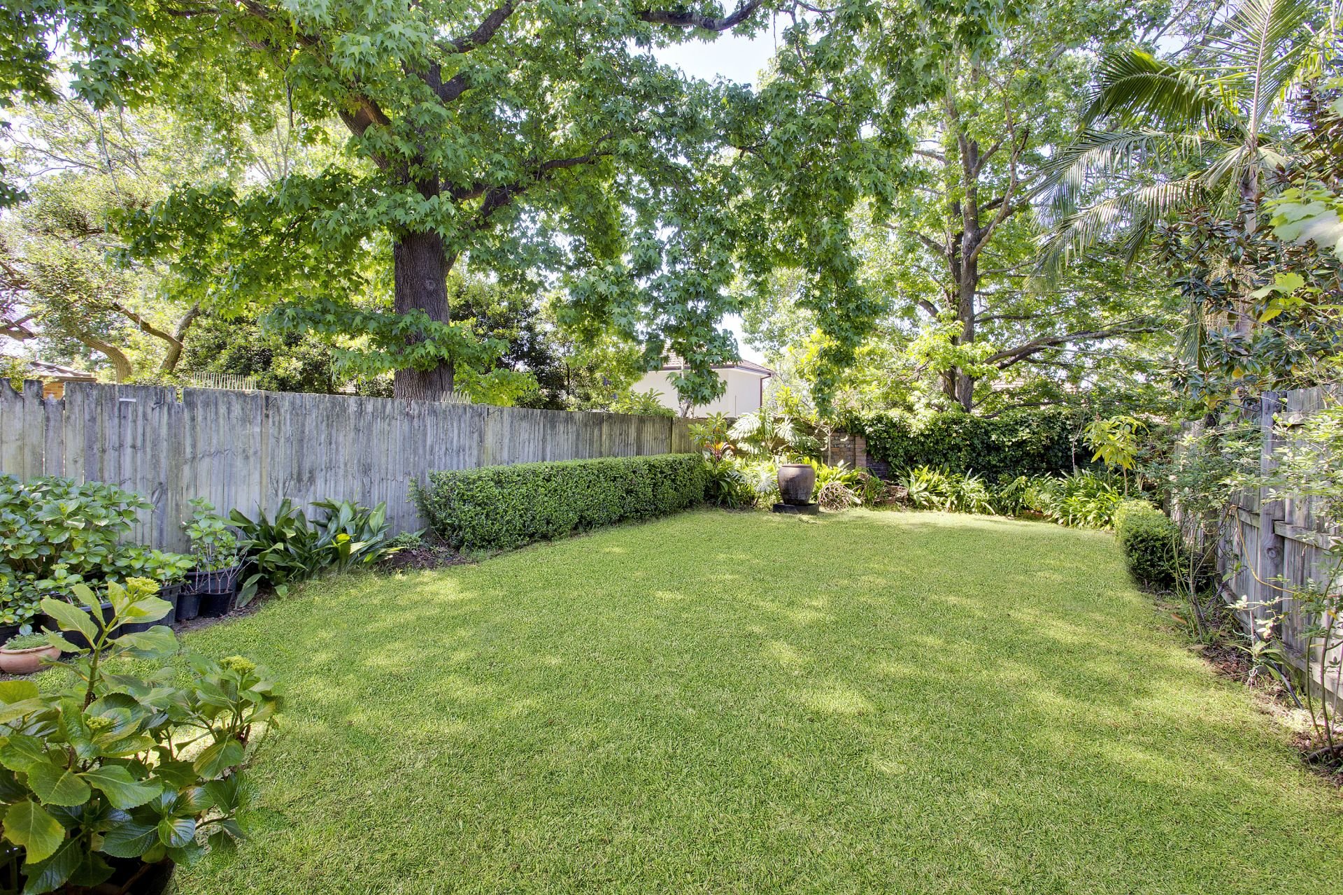 Real Estate For Sale 429B Penshurst Street Roseville , NSW