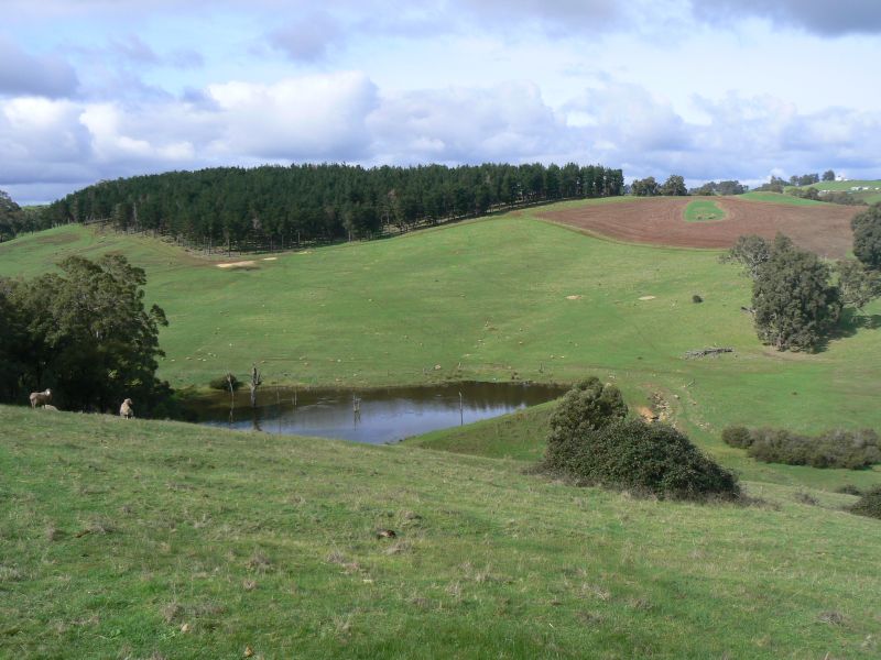 Real Estate For Sale Lot 2 Upper Capel Road Upper Capel , WA
