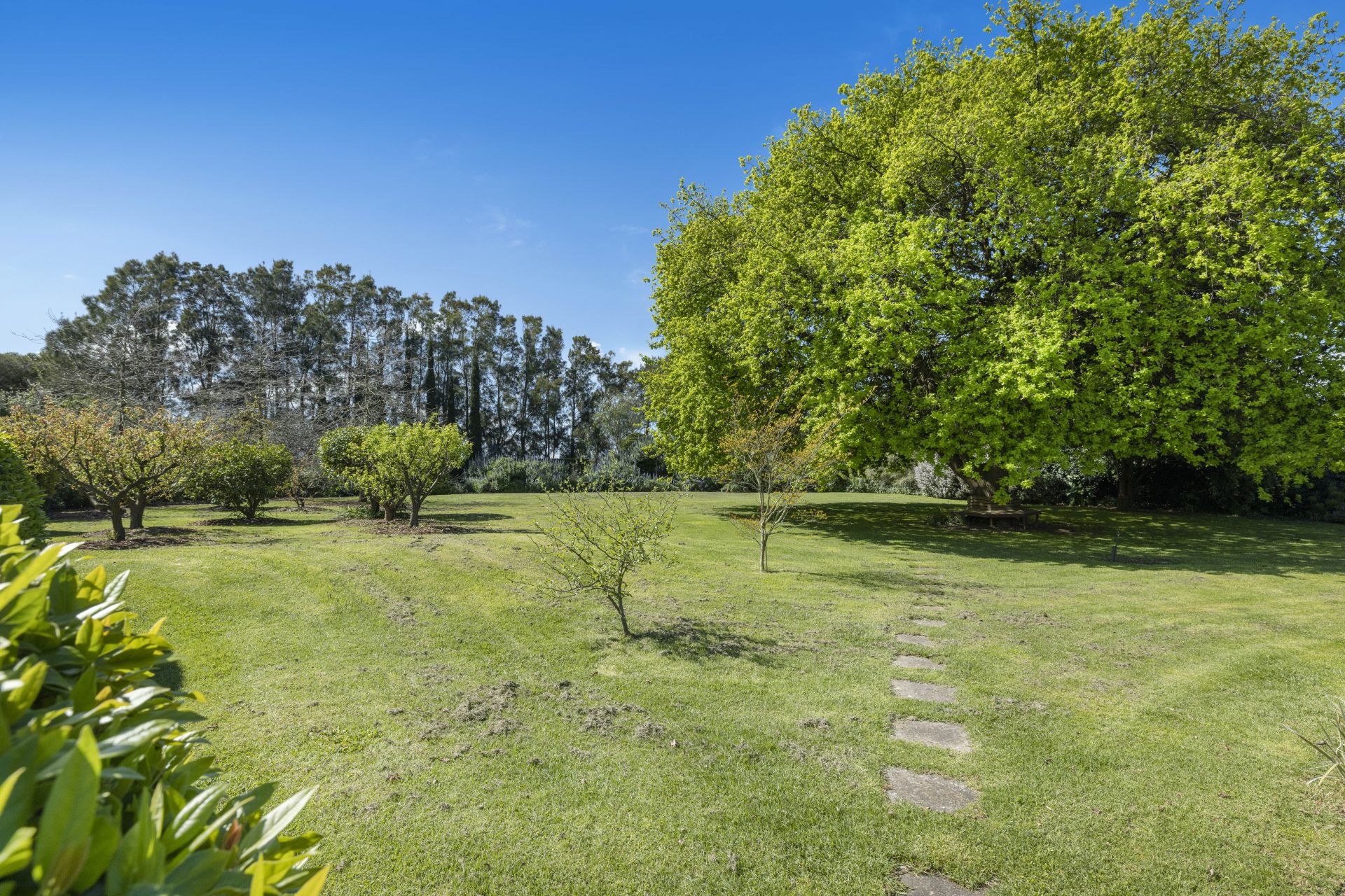 Kay & Burton 58 Thompsons Lane, Merricks